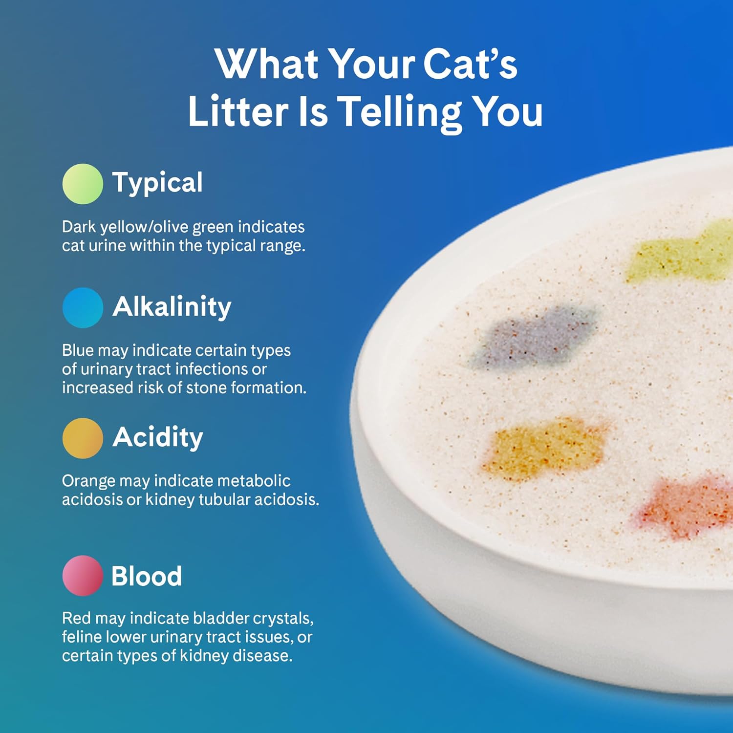 Detalle 2 de PrettyLitter Health Monitoring Cat Litter (Unscented, Non Clumping) — 6 Lbs, Pack of 2