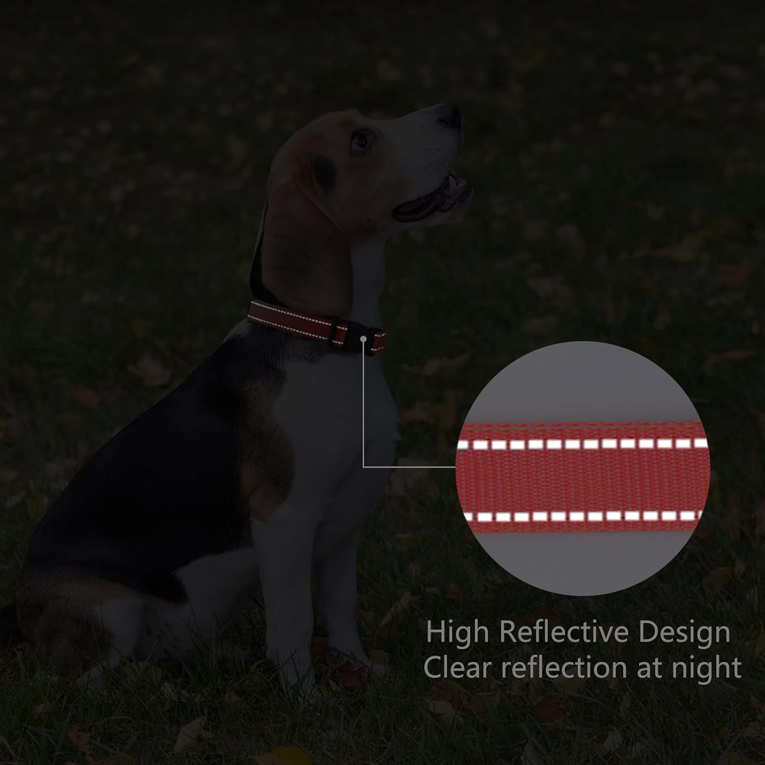 Thumbnail 4 de PenSeepet Reflective Dog Collar, Medium