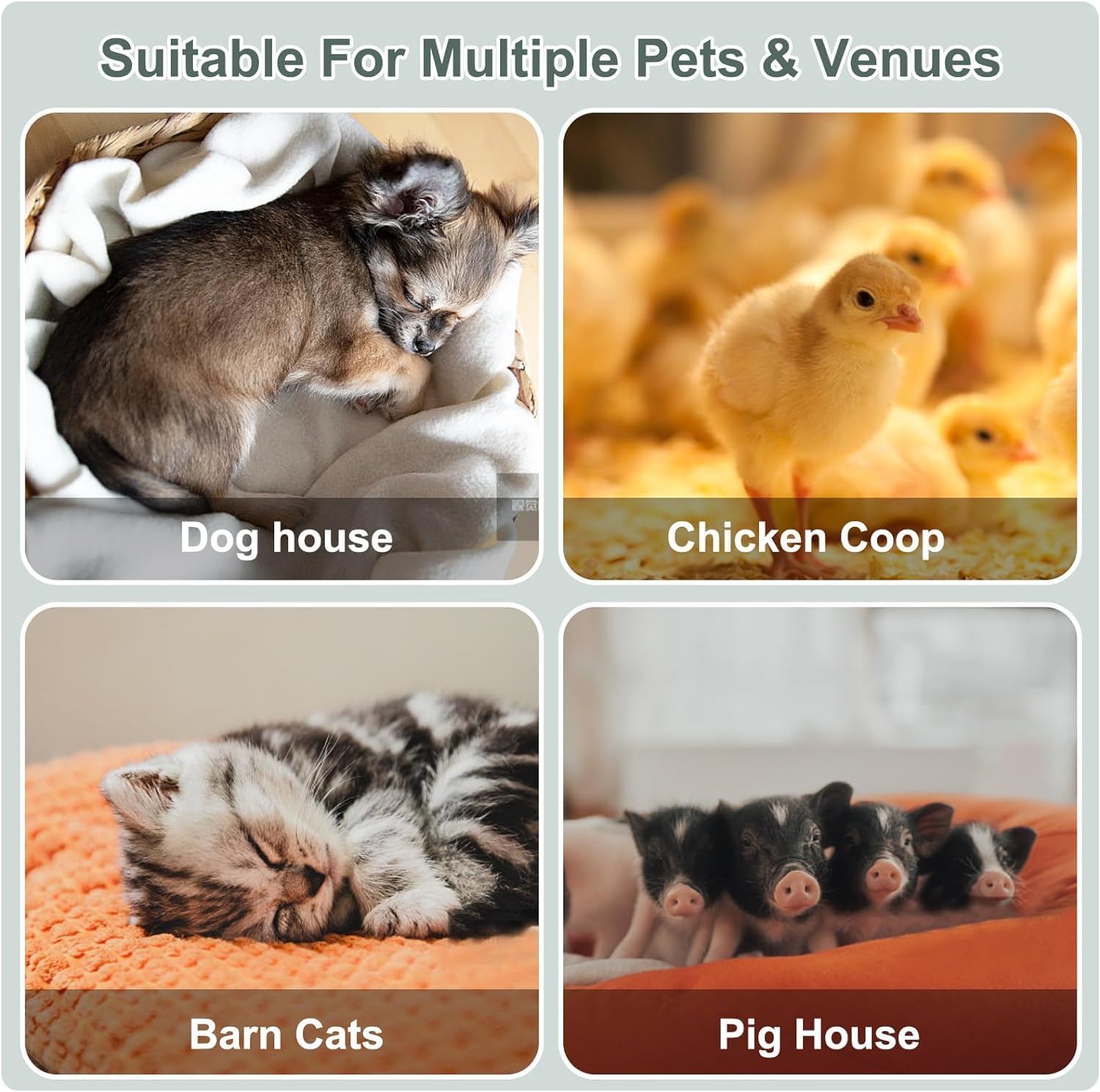 Thumbnail 6 de Dog House Heater 600W ⚡