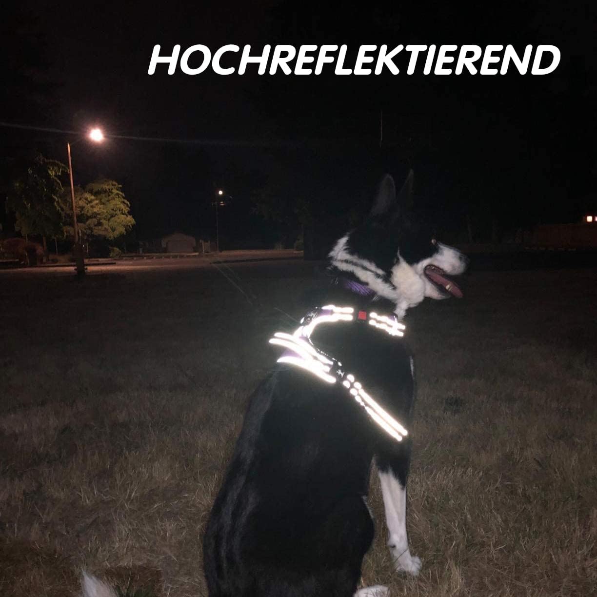 Thumbnail 5 de PoyPet Keine Pull Hundegeschirr Front Reflektierend S