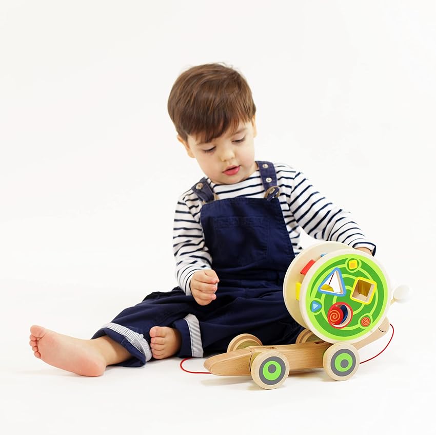 Detalle 2 de Hape Caracol Clasificador juguete 12 meses+ 🐢