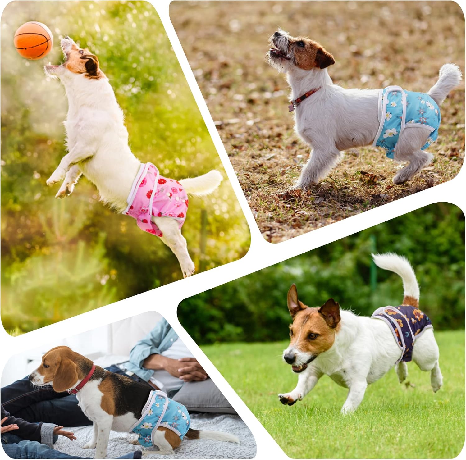 Thumbnail 6 de Demigreat Läufigkeitshose für Hündinnen 3 Stück S – Wiederverwendbare Hundewindeln mit verstellbarem Taillenschutz