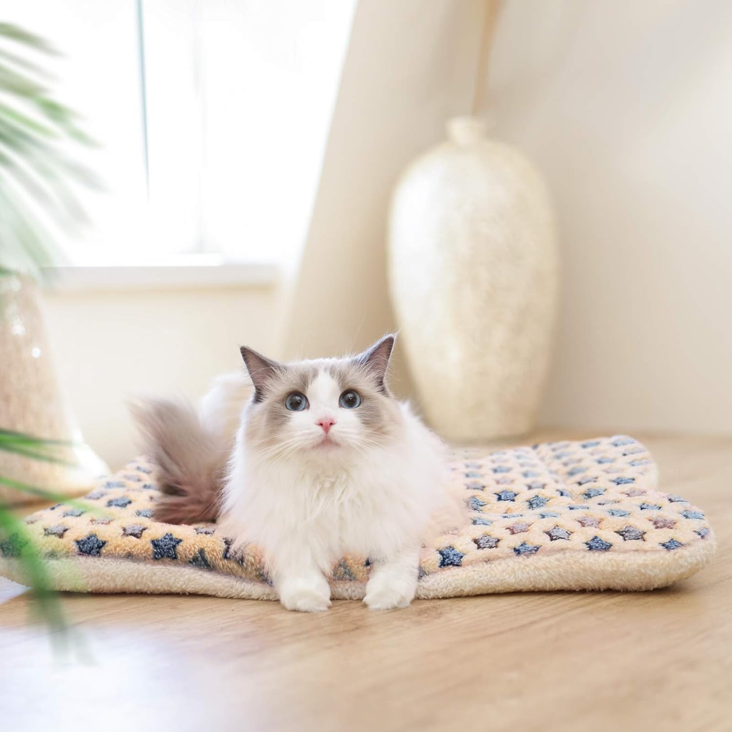 Detalle 2 de MORA PETS Dog Bed Mat 53x31cm