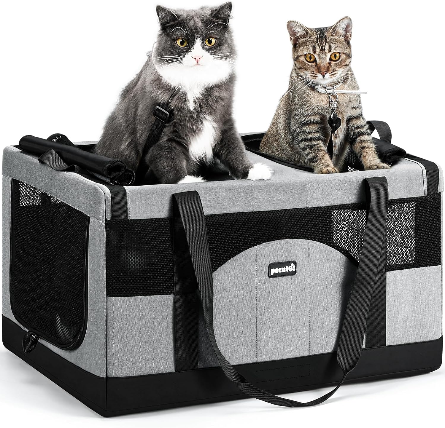 Pecute sac de transport pliable pour 2 chats avec cadre ultra stable (gris)