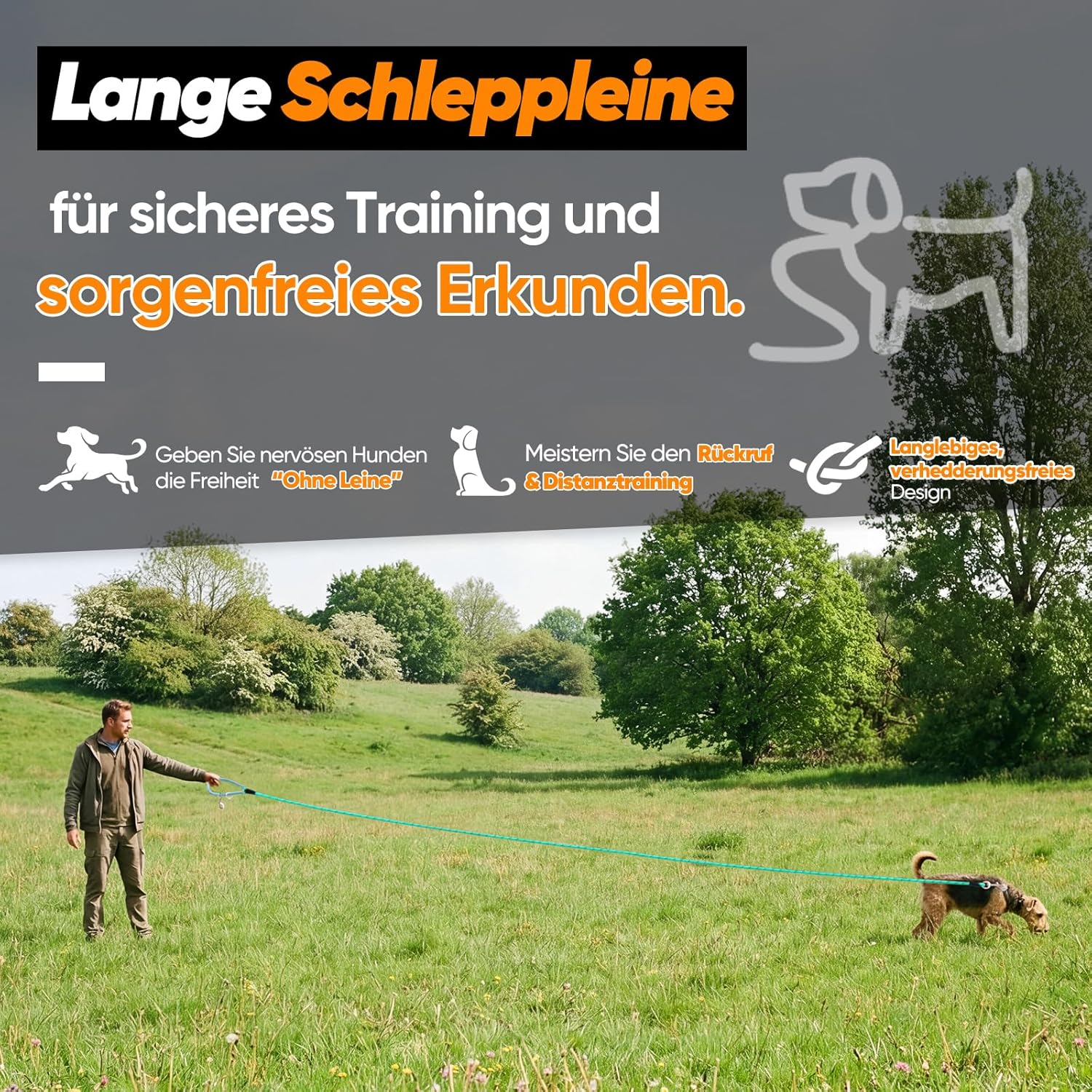 Thumbnail 2 de Aystkniet Schleppleine für Hunde – Laufleine mit Doppelwirbelhaken, Längen von 5 bis 30 m