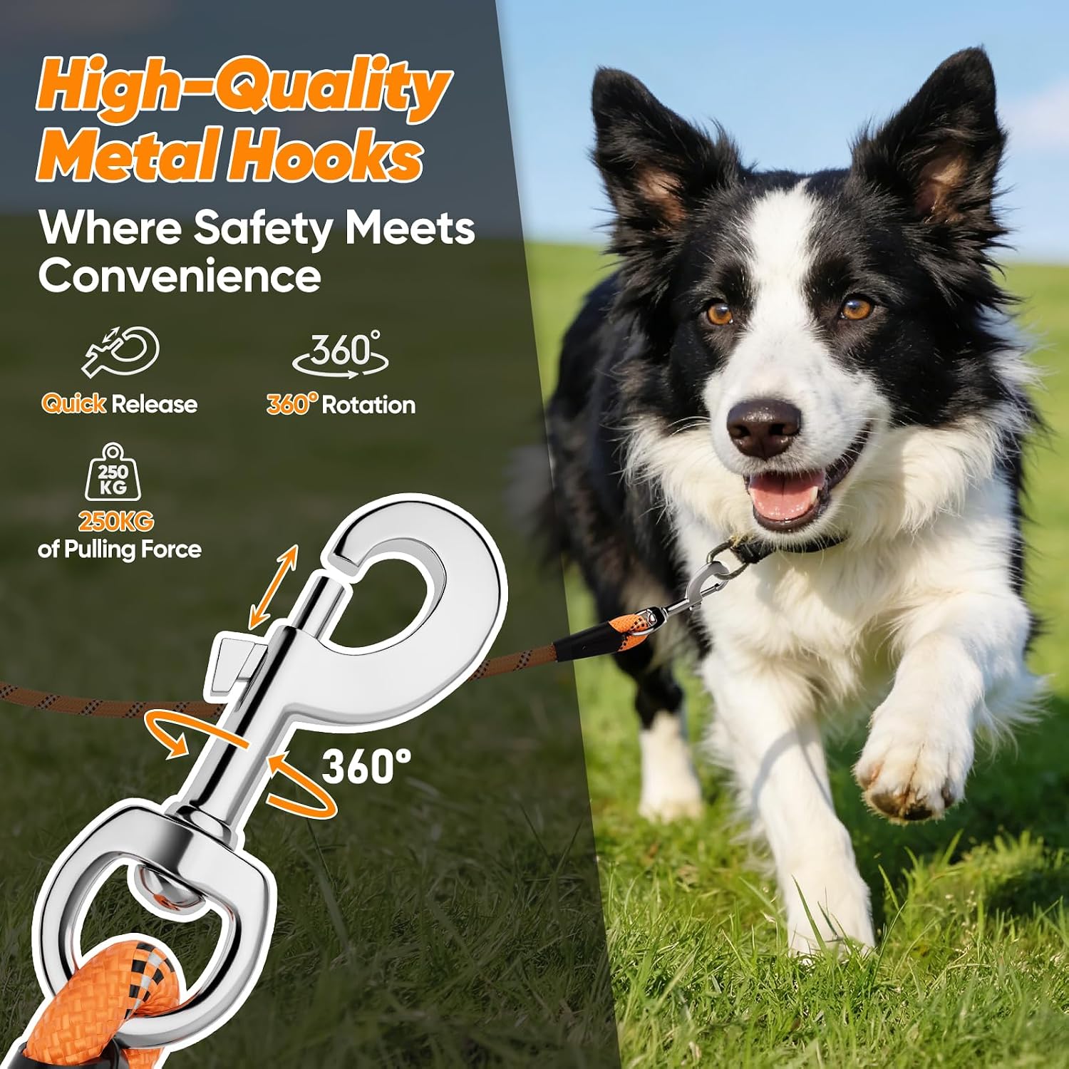 Thumbnail 5 de Aystkniet Reflective Training Lead for Dogs 30M