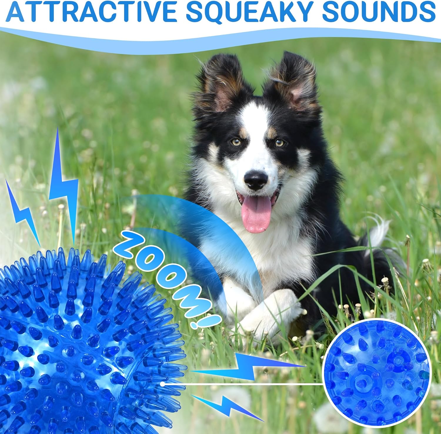 Detalle 2 de LECHONG 4-Pack Large Squeaky Dog Balls