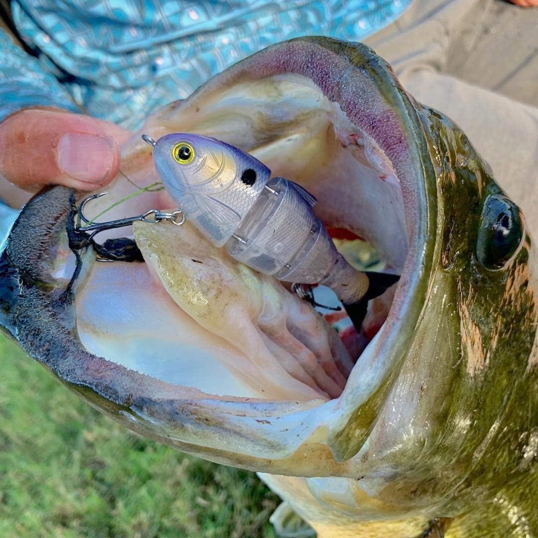 Detalle 2 de Catch Co swimbait 3.75-inch