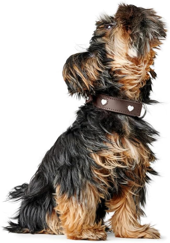 Thumbnail 6 de Hunter Hundehalsband Love – Braun/Schwarz, Größe 50, handgefertigt in Deutschland