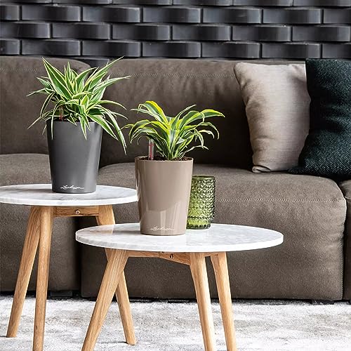 Thumbnail 7 de Lechuza 14904 Maceta Deltini Premium Kit 🌿 (14x18)