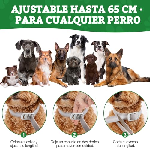 Thumbnail 6 de BoYata Collar Antiparasitario para Perros 2 Unidades – Protección jusqu 12 Meses con Aceites Naturales