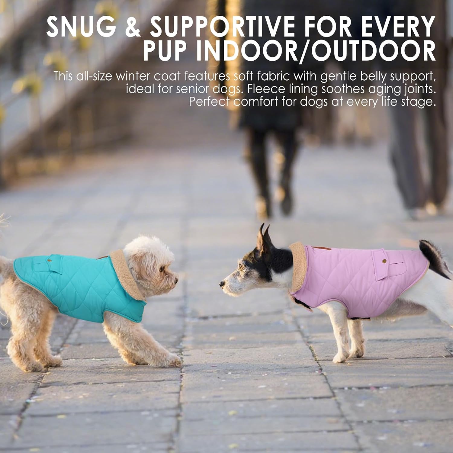 Thumbnail 3 de Dog Winter Jacket XL