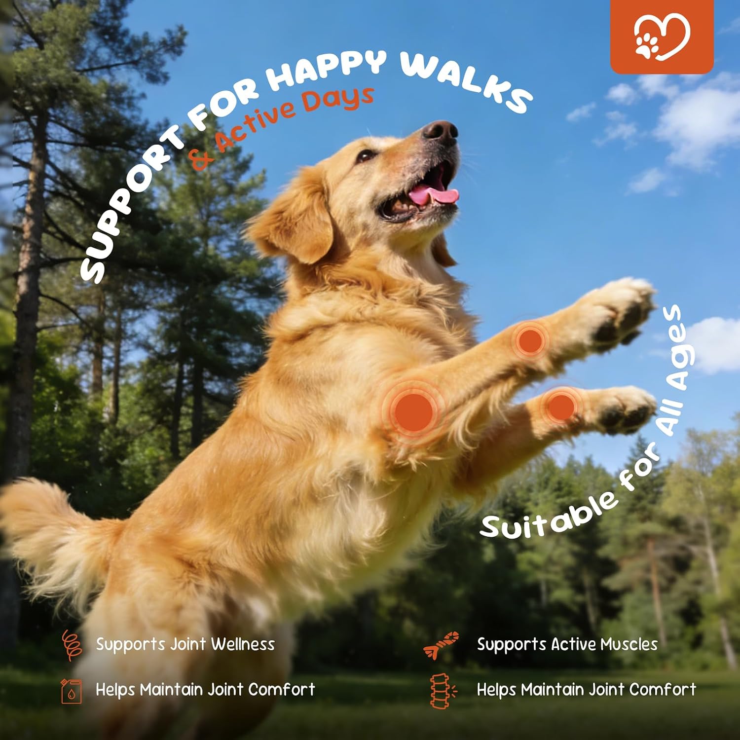 Detalle de Caniforza Dog Joint Supplement, 200 Soft Chews