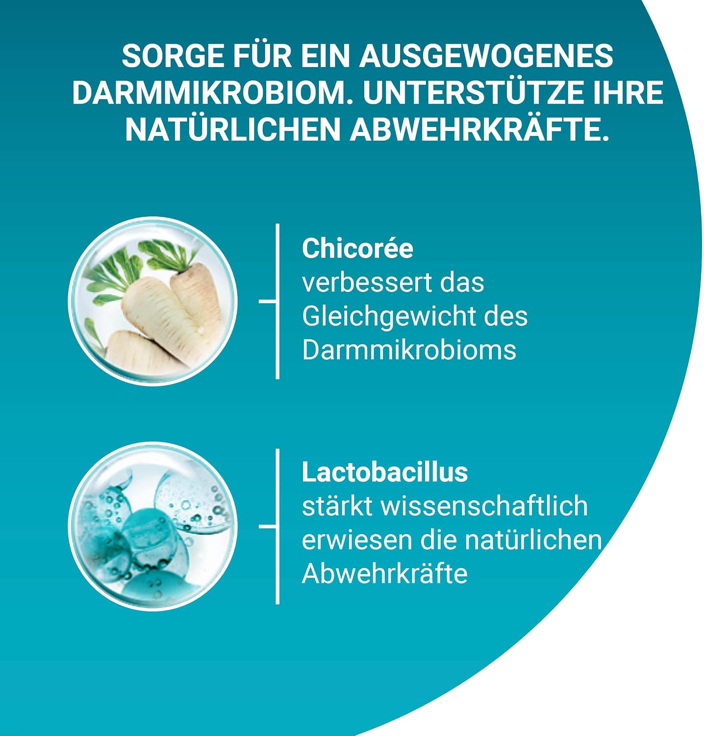 Detalle 2 de PURINA ONE BIFENSIS Katzenfutter 1,4 kg đ±
