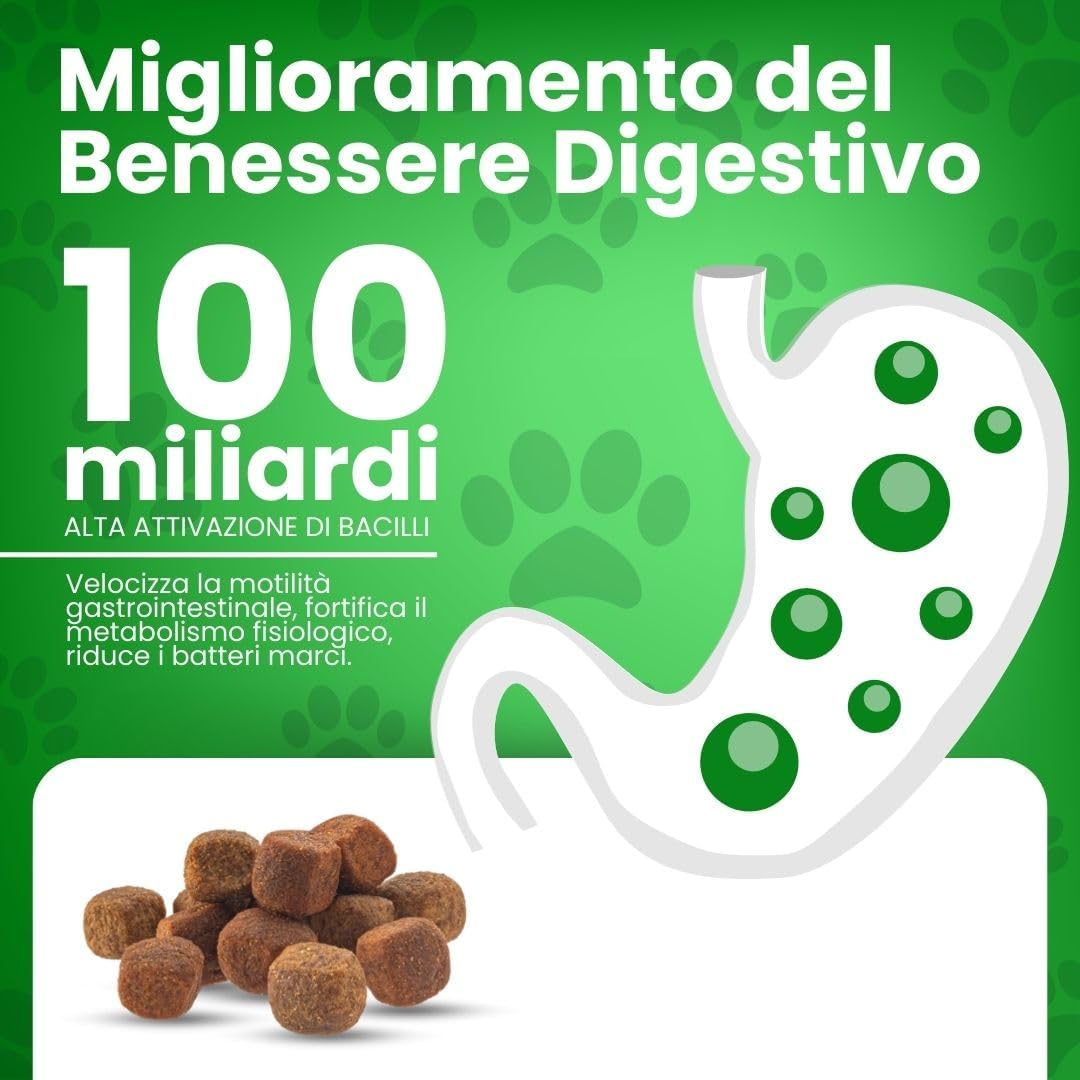 Detalle de DB Labo Probiotici per Cani 100 Snack: 4-in-1 per Digestione, Immunità e pelle