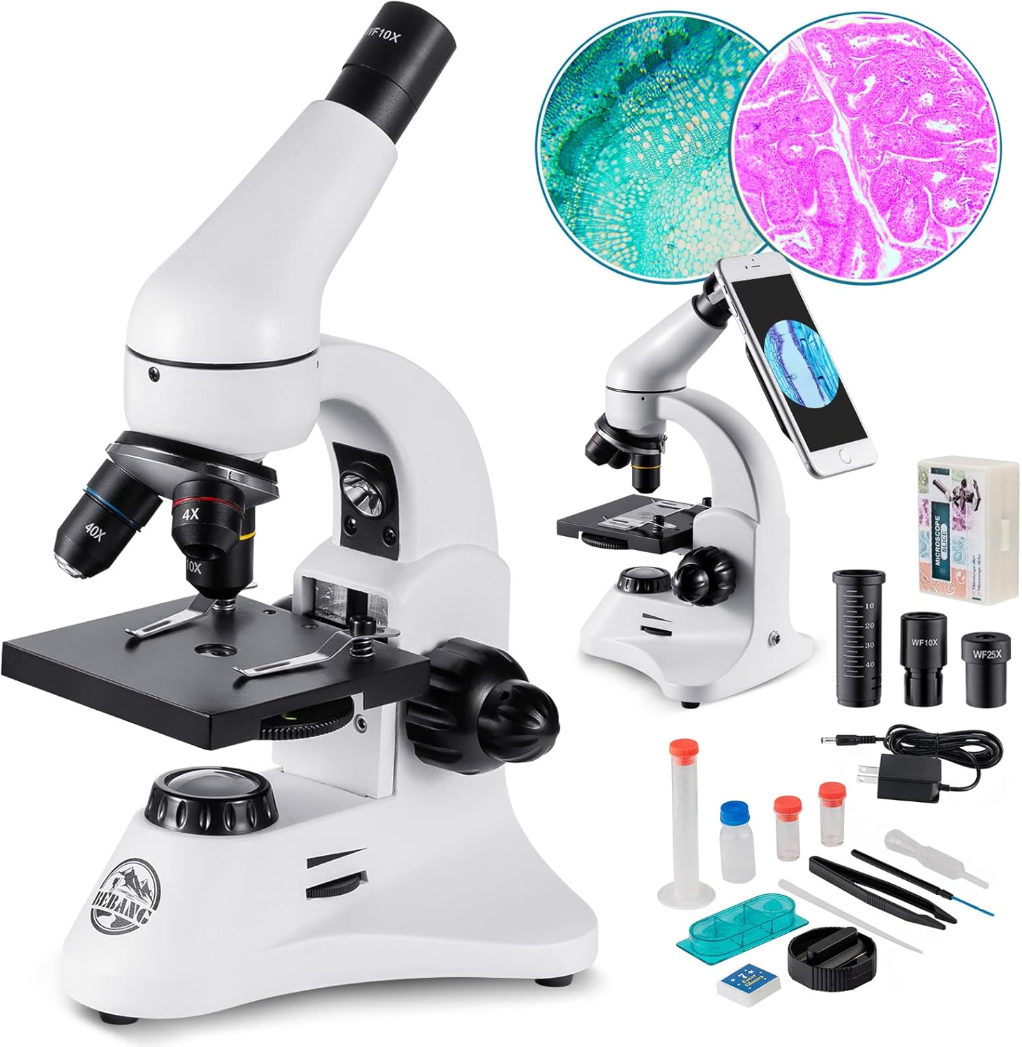 2000X Microscopio Ottico Professionale 2000x 🔬