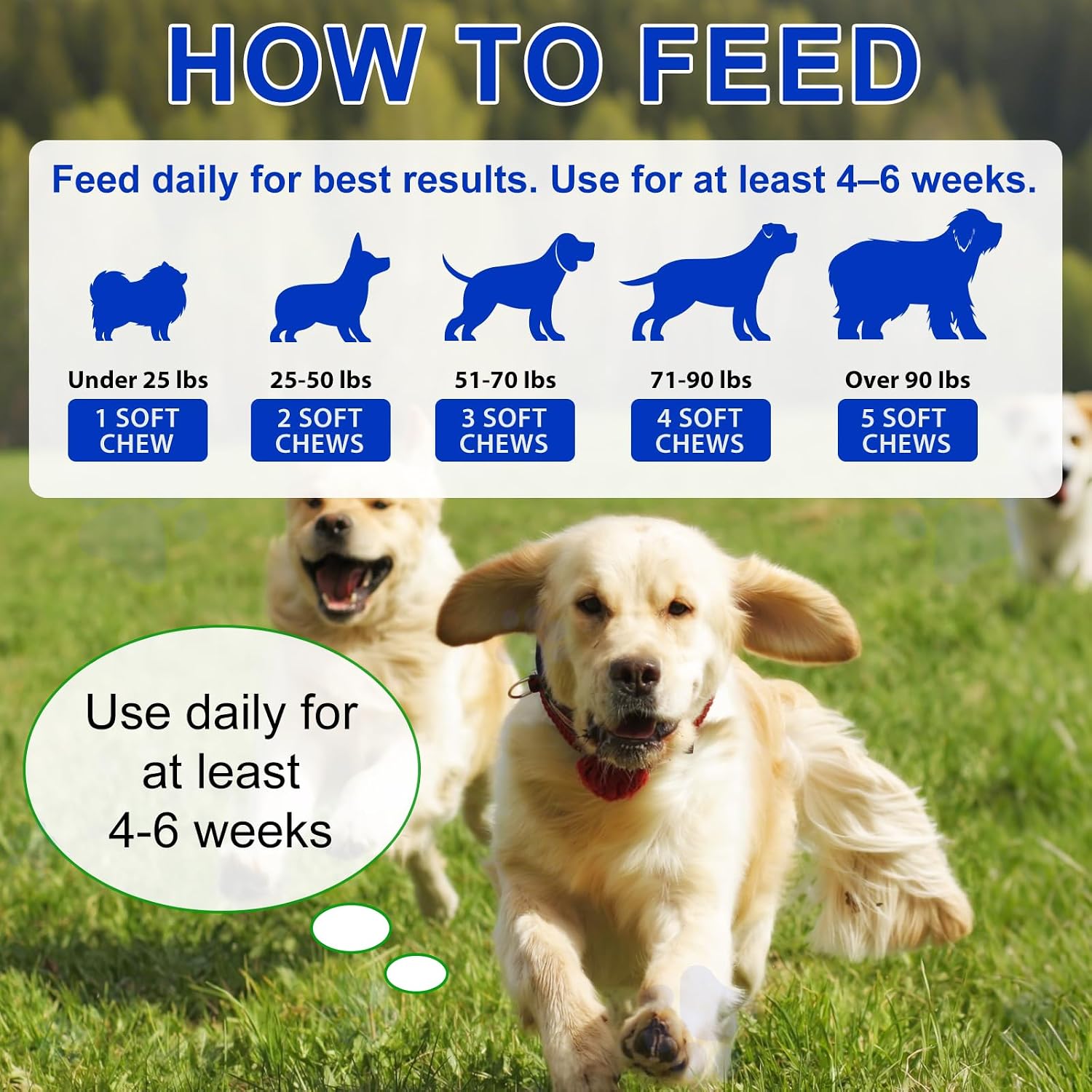 Detalle 2 de Probiotici Per Cani, 150 Compresse Masticabili al Gusto Anatra (Duck Flavor) – Supporto digestivo e immunitario per cani di tutte le età
