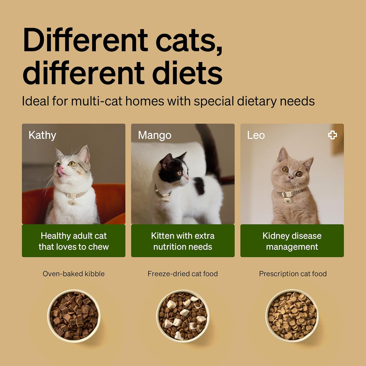 Detalle de PETLIBRO RFID Automatic Cat Feeder with Collar Sensor: Personalized Meals and Real-Time Diet Tracking