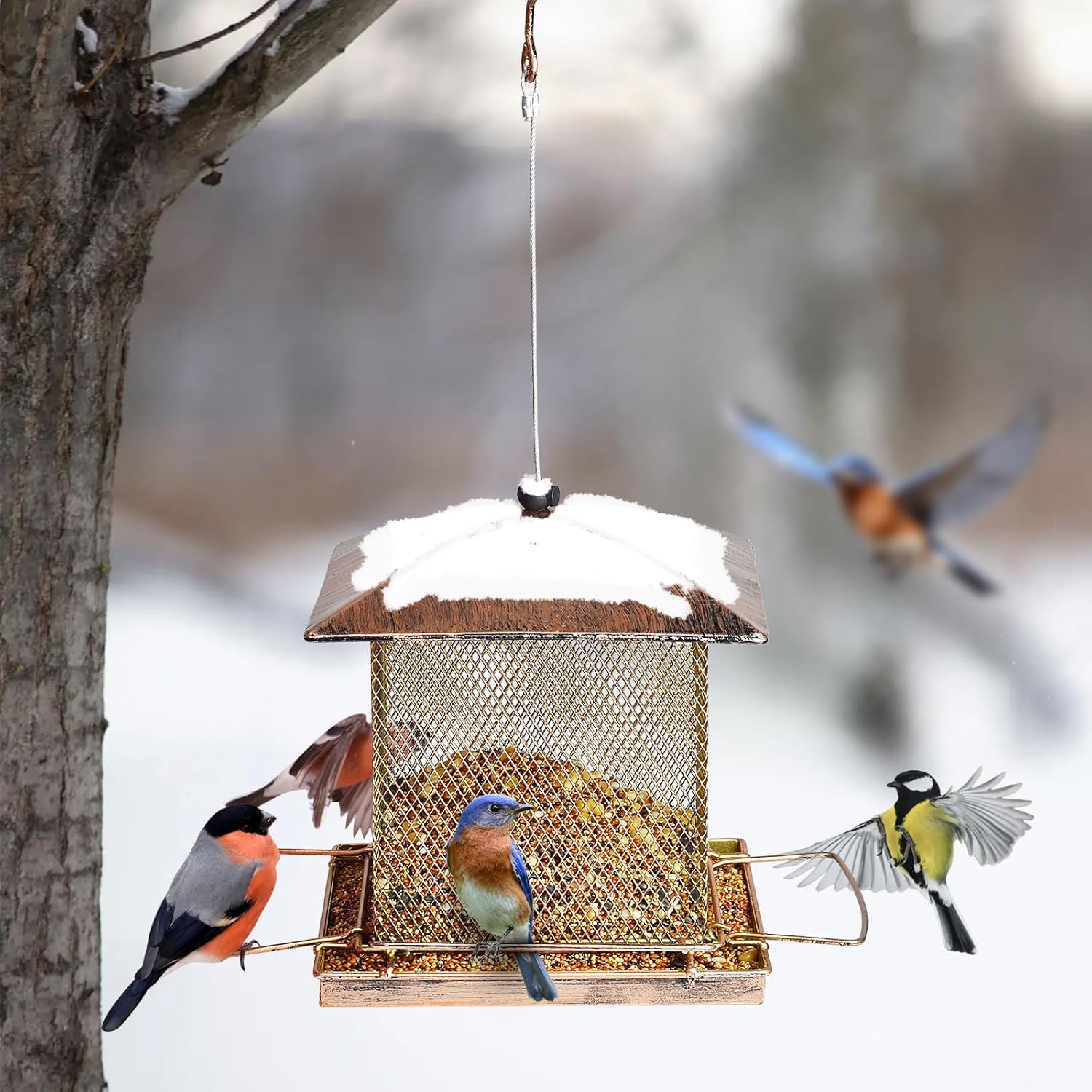 Thumbnail 4 de IWTTWY Bird Feeder Hanging: Heavy-Duty, Squirrel-Proof, Large-Capacity Square Feeder