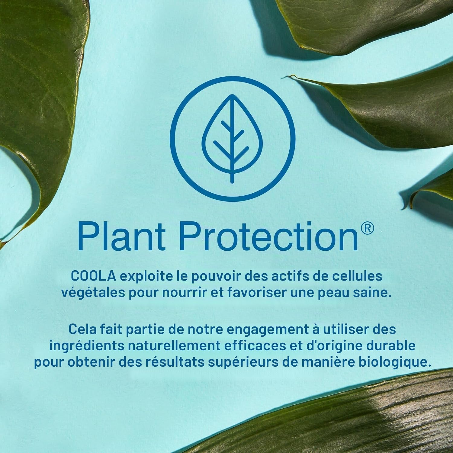 Detalle de COOLA Spray Solaire Corps SPF30 Tropical Coconut – 177 ml, Haute protection et éco-responsable