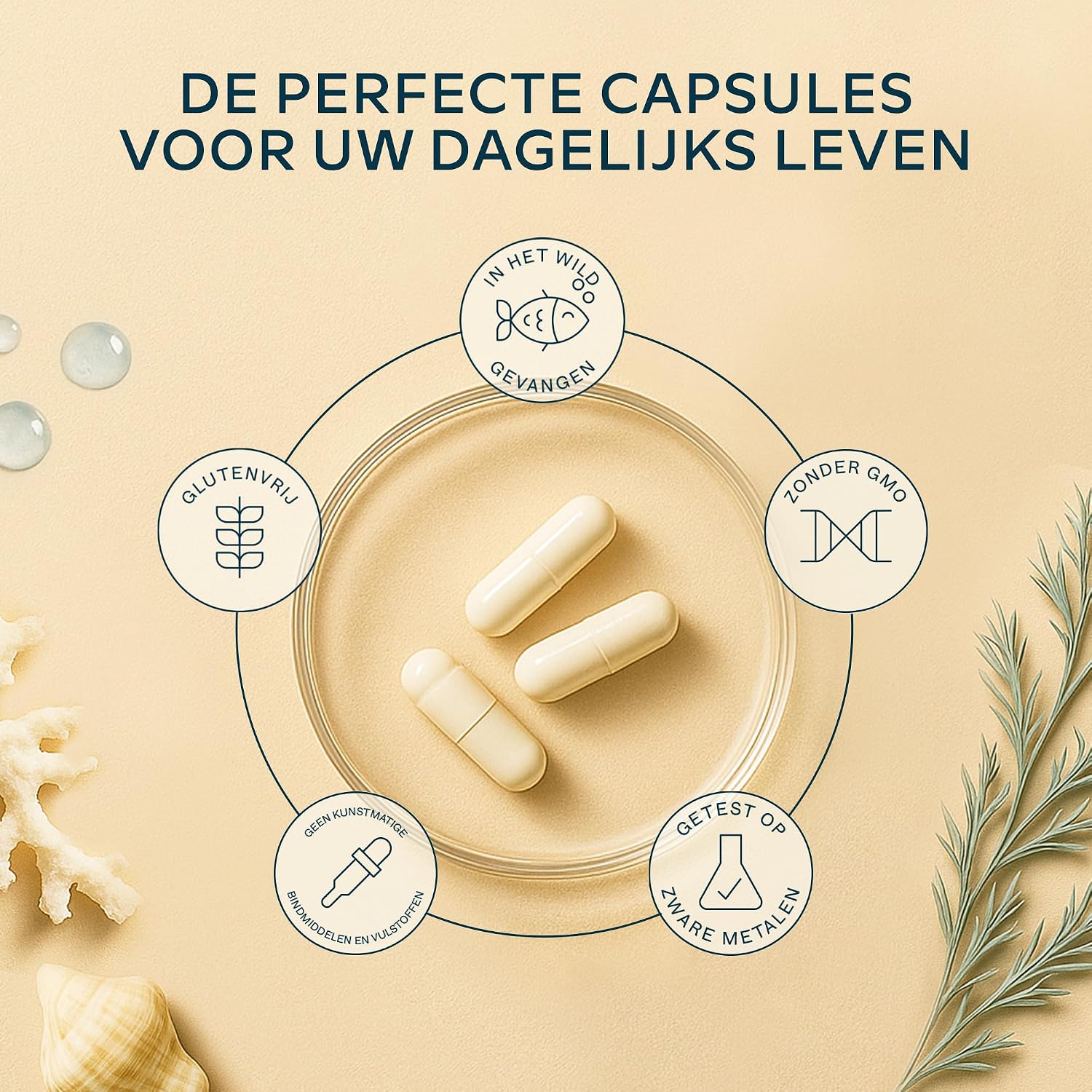 Thumbnail 5 de AAVALABS marine collageencapsules met 1.425 mg collageen, magnesium en hyaluronzuur
