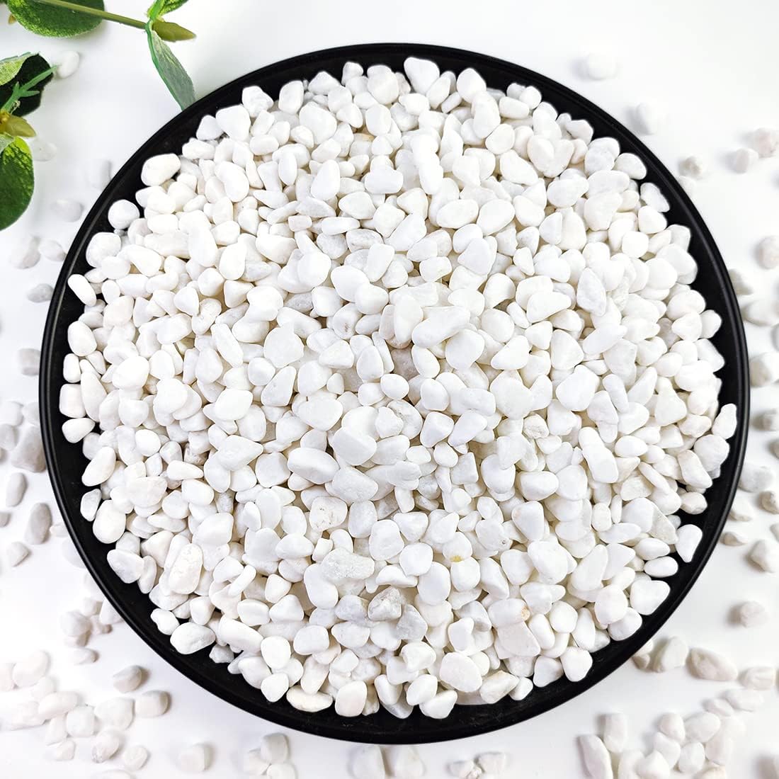 Detalle de YISZM White Succulent and Cactus Pebbles, 1/5-Inch Natural Stone