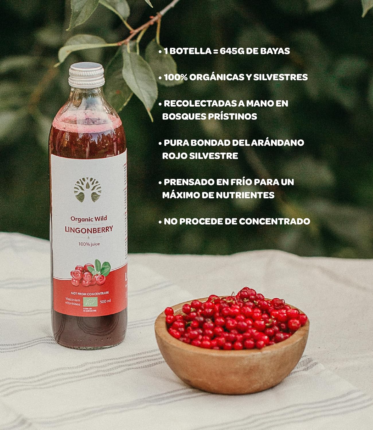 Detalle 2 de LoOV Zumo de Arándano Rojo Orgánico 500 ml 🍒