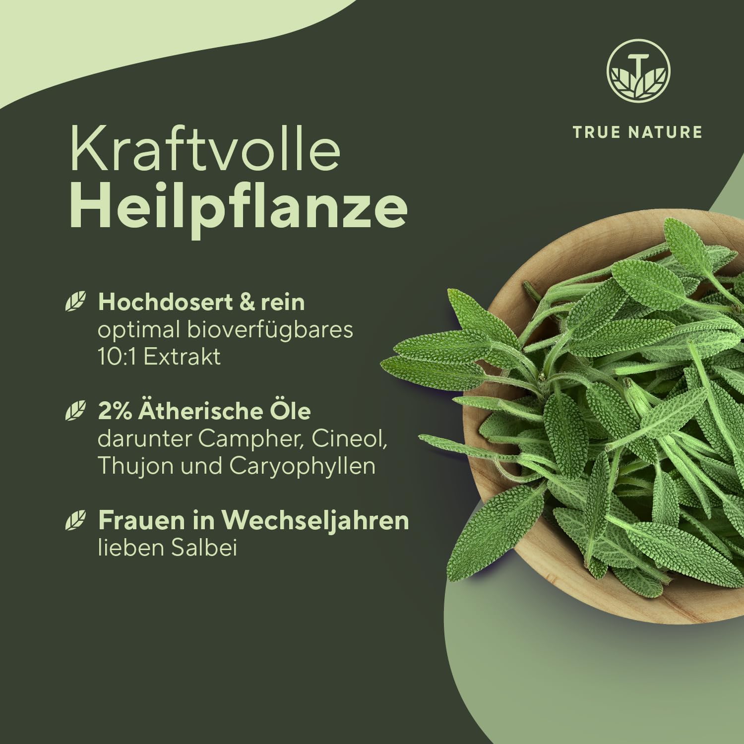 Detalle de Salbei Extrakt Hochdosiert 180 Kapseln (10:1) – 6.000 mg Salbei pro Tagesdosis | True Nature