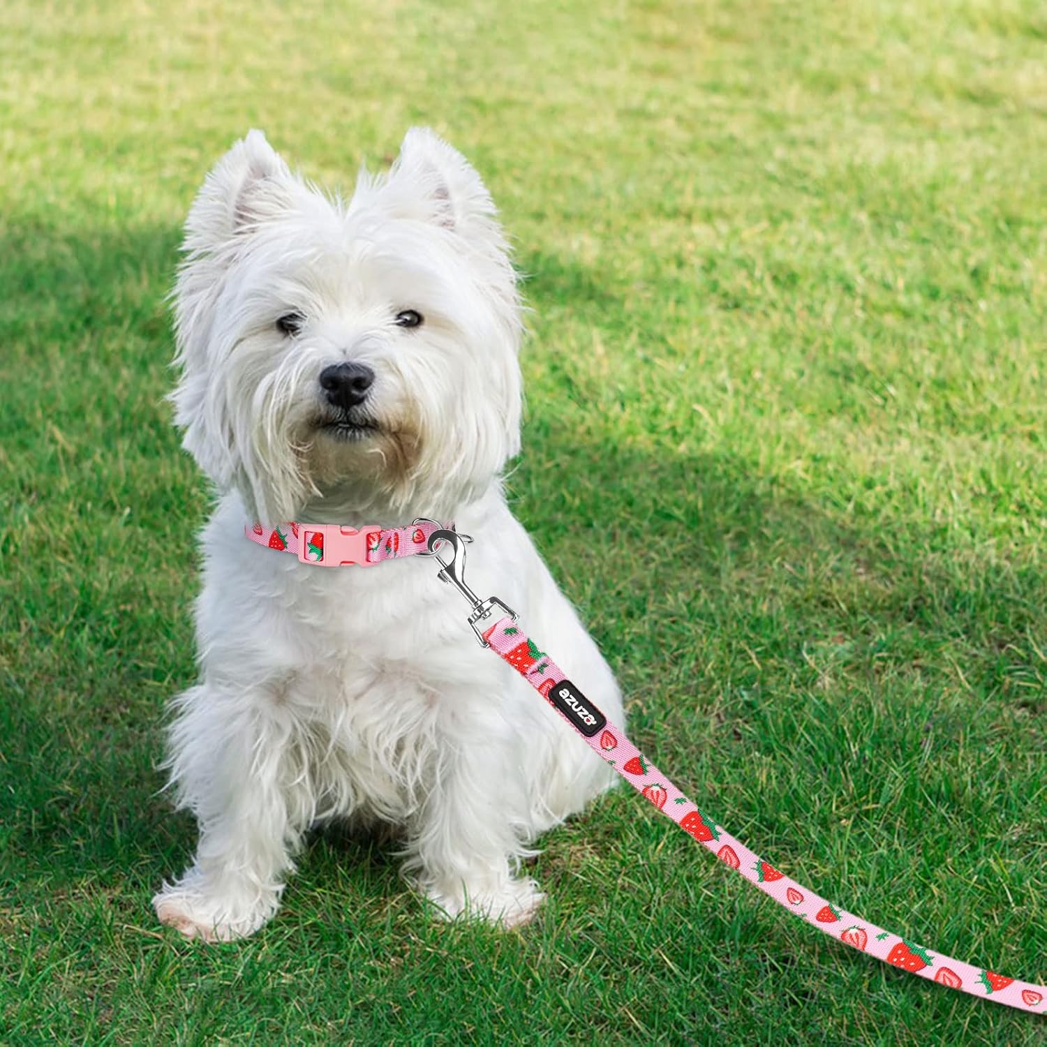 Thumbnail 6 de azuza Dog Collar and Leash Set, Nylon