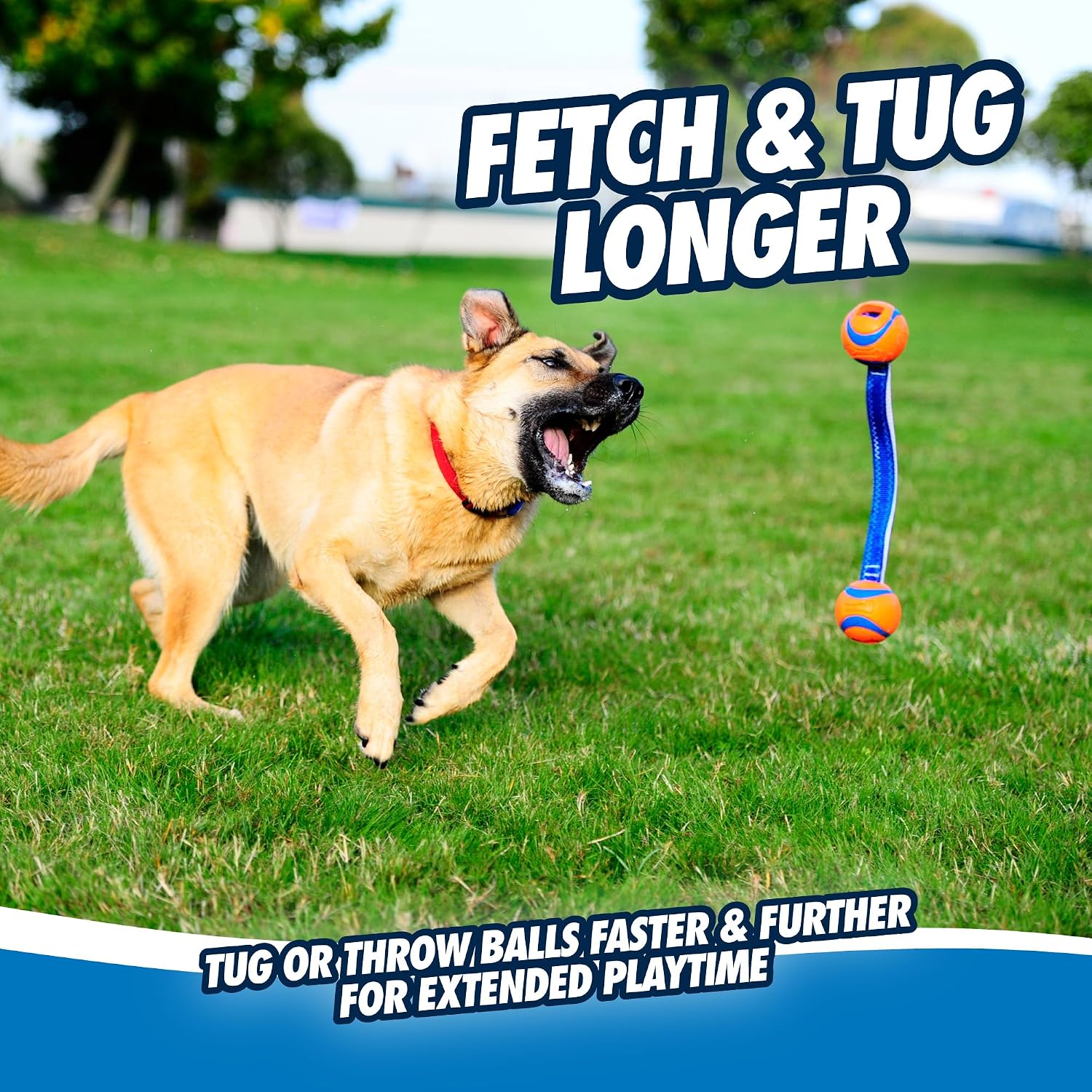Thumbnail 5 de Chuckit Ultra Duo Tug 6 cm jouet chien 🦴