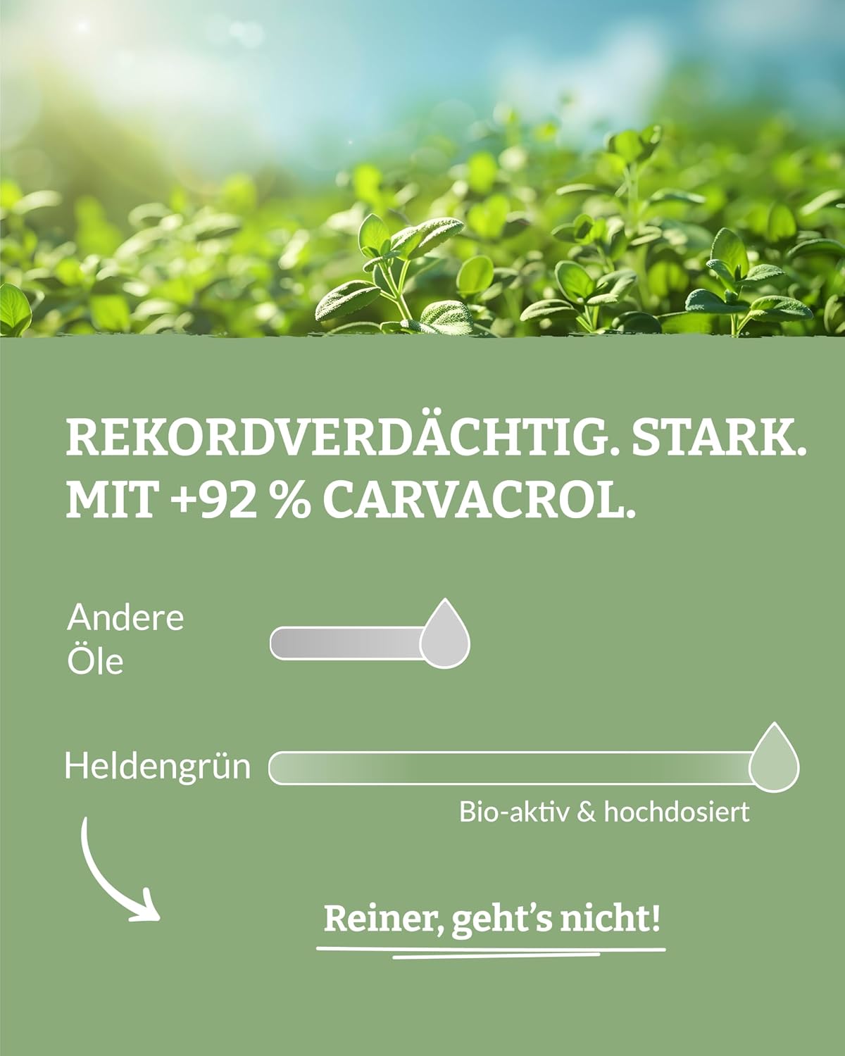 Thumbnail 2 de Heldengrün® BIO Oregano Öl 50 ml mit +92% Carvacrol (fürs Einnehmen, Ecocert-biozertifiziert)