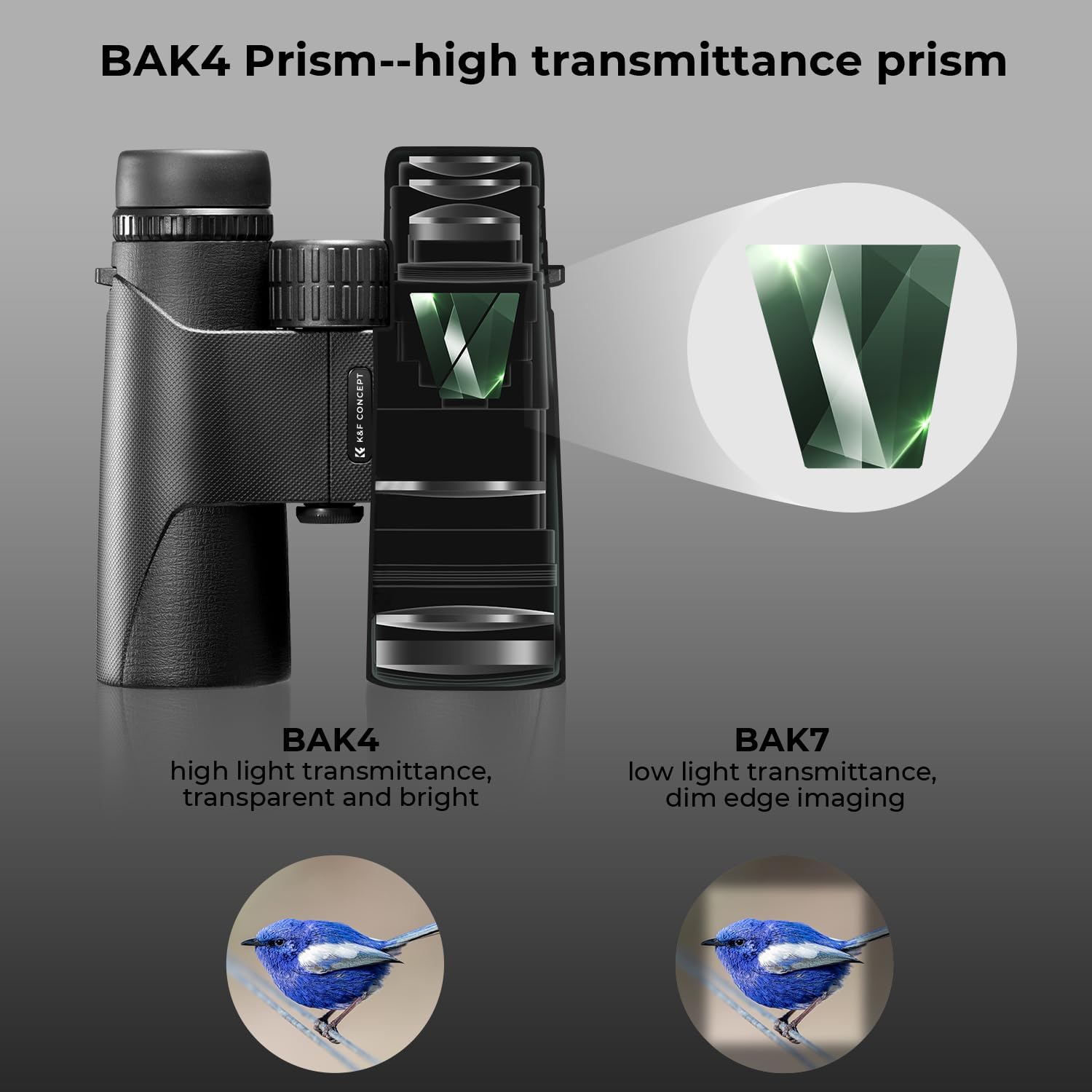 Detalle de K&F Concept Fernglas 10x42 HD – robustes Allroundglas mit Stativumbauhalterung