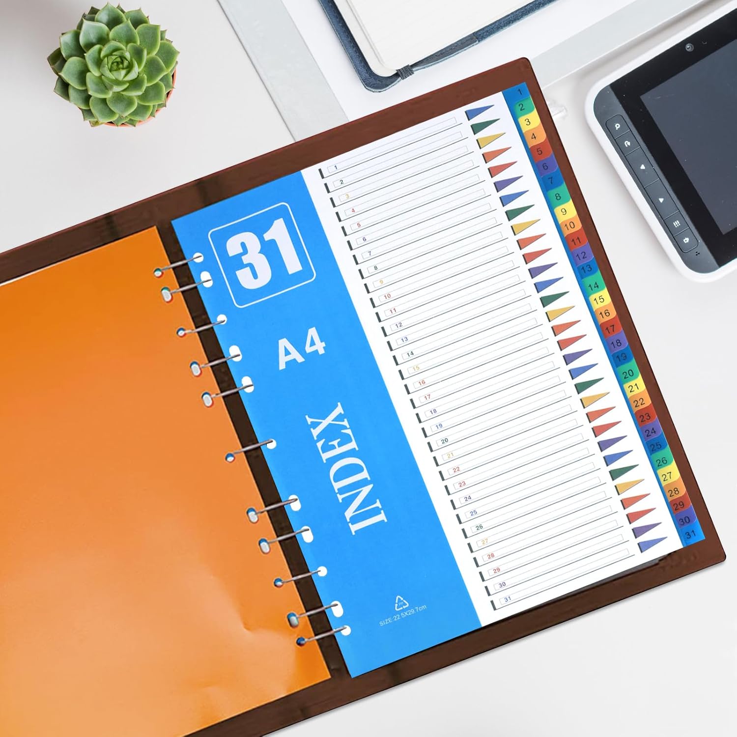 Detalle de A4 Part Dividers (1–31) 5-Pack by XHDA – Multi-colour plastic ring binder dividers with writable index