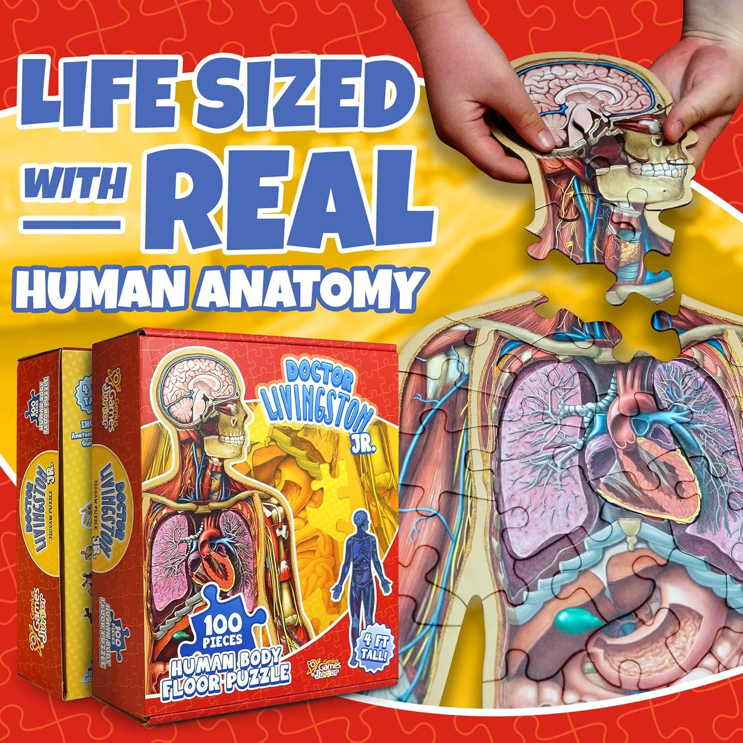 Thumbnail 1 de Human Anatomy Kids Floor Puzzle by Dr Livingston Jr: 100-Piece Full Body Jigsaw for Ages 6-10
