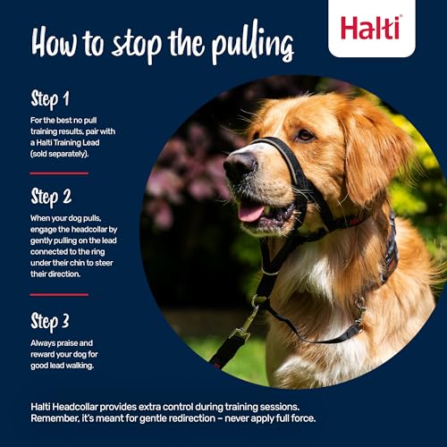 Detalle 2 de Collar Ronzal HALTI Talla 2, antitirones para perros