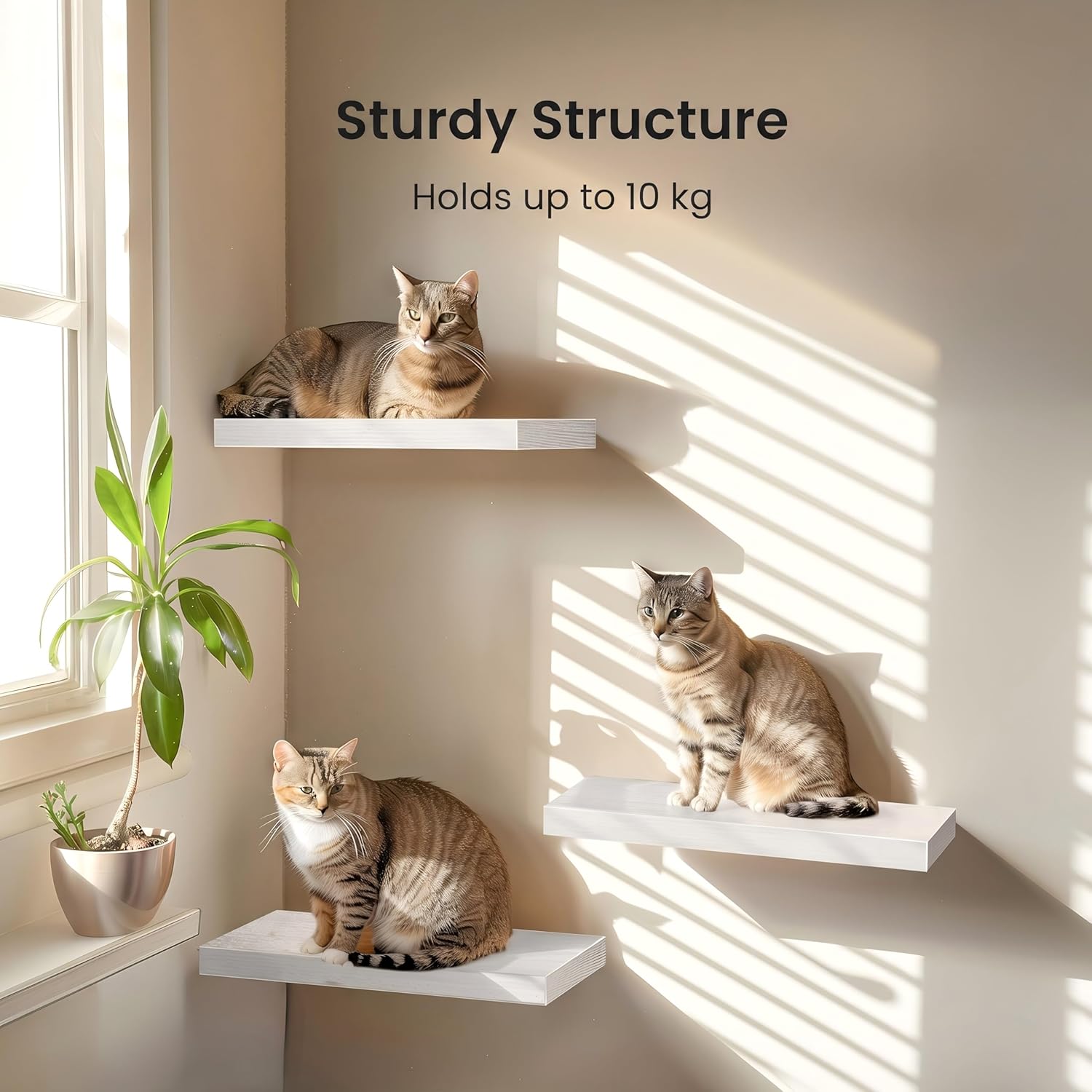 Detalle 2 de AMADA Floating Shelves AMFS08: Set of 3 White Wall Shelves with Invisible Brackets