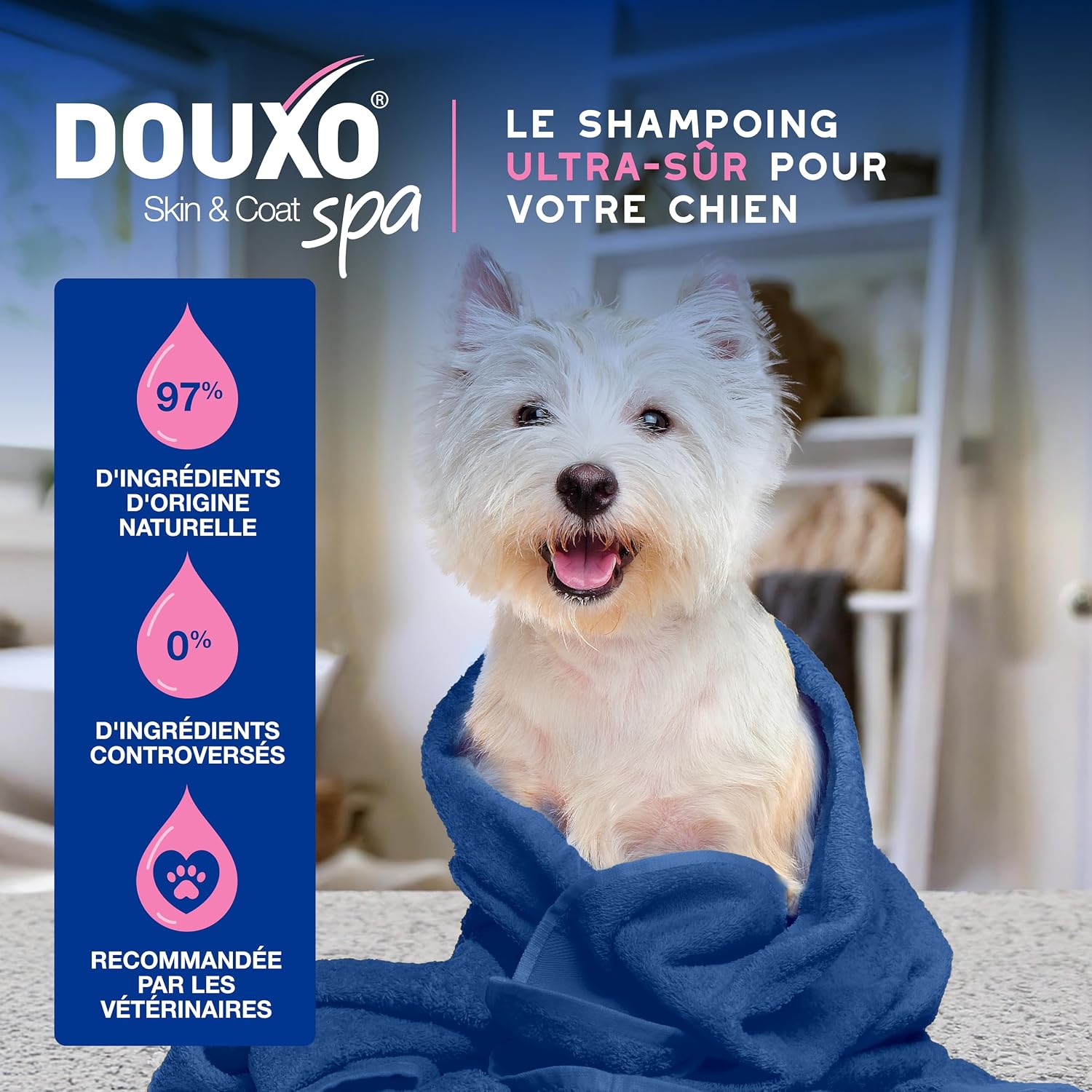 Detalle de Douxo Skin & Coat Spa Shampoing Anti-démangeaisons pour Chien – 250 mL, apaise la peau et laisse le pelage doux