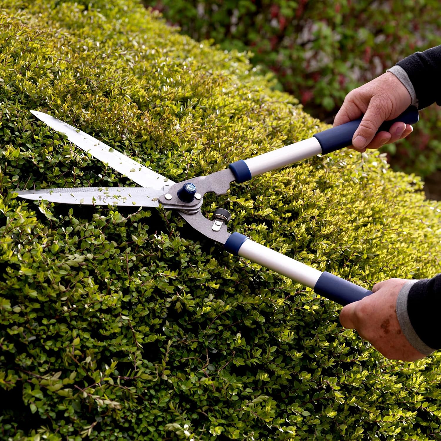 Detalle de Spear & Jackson 8170RS Razorsharp Geared Hedge Shear