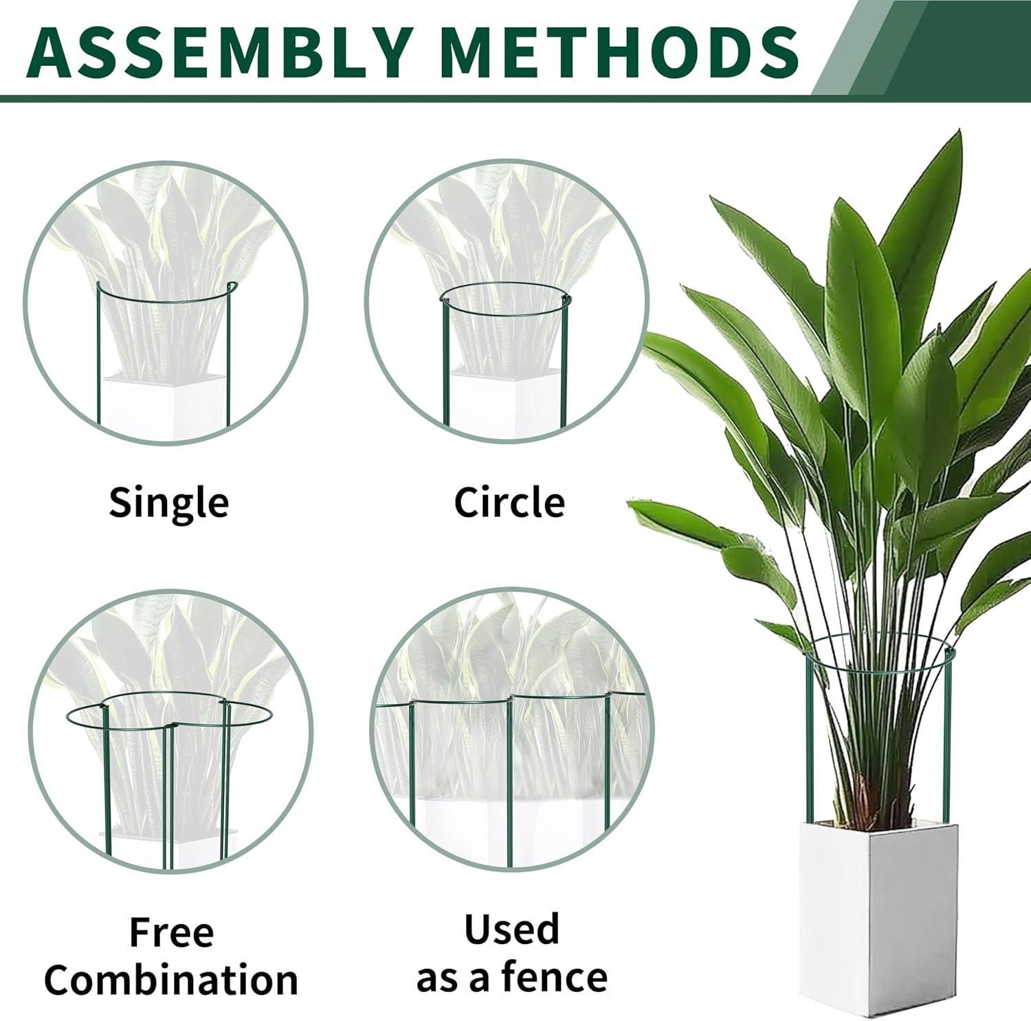 Detalle de 10pcs 25x60cm Plant Supports: Thicker 4mm Garden Stakes for Tall Perennials (Green, Weatherproof)