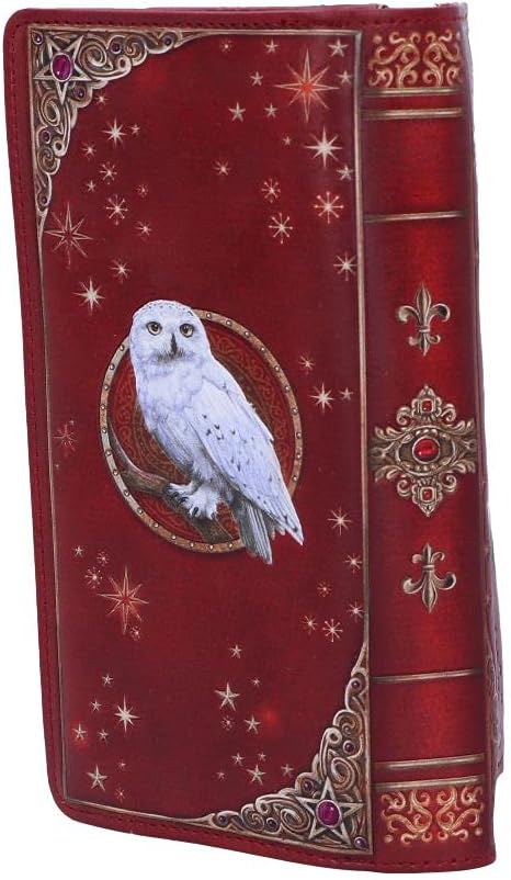 Thumbnail 3 de Nemesis Now Magical Flight Embossed Purse (18.5cm) in Red