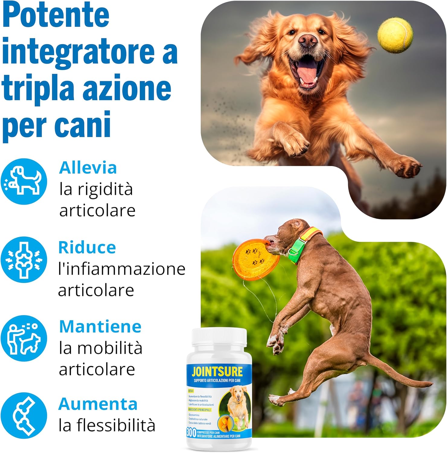 Detalle de JOINTSURE Integratori per Cani 120 compresse