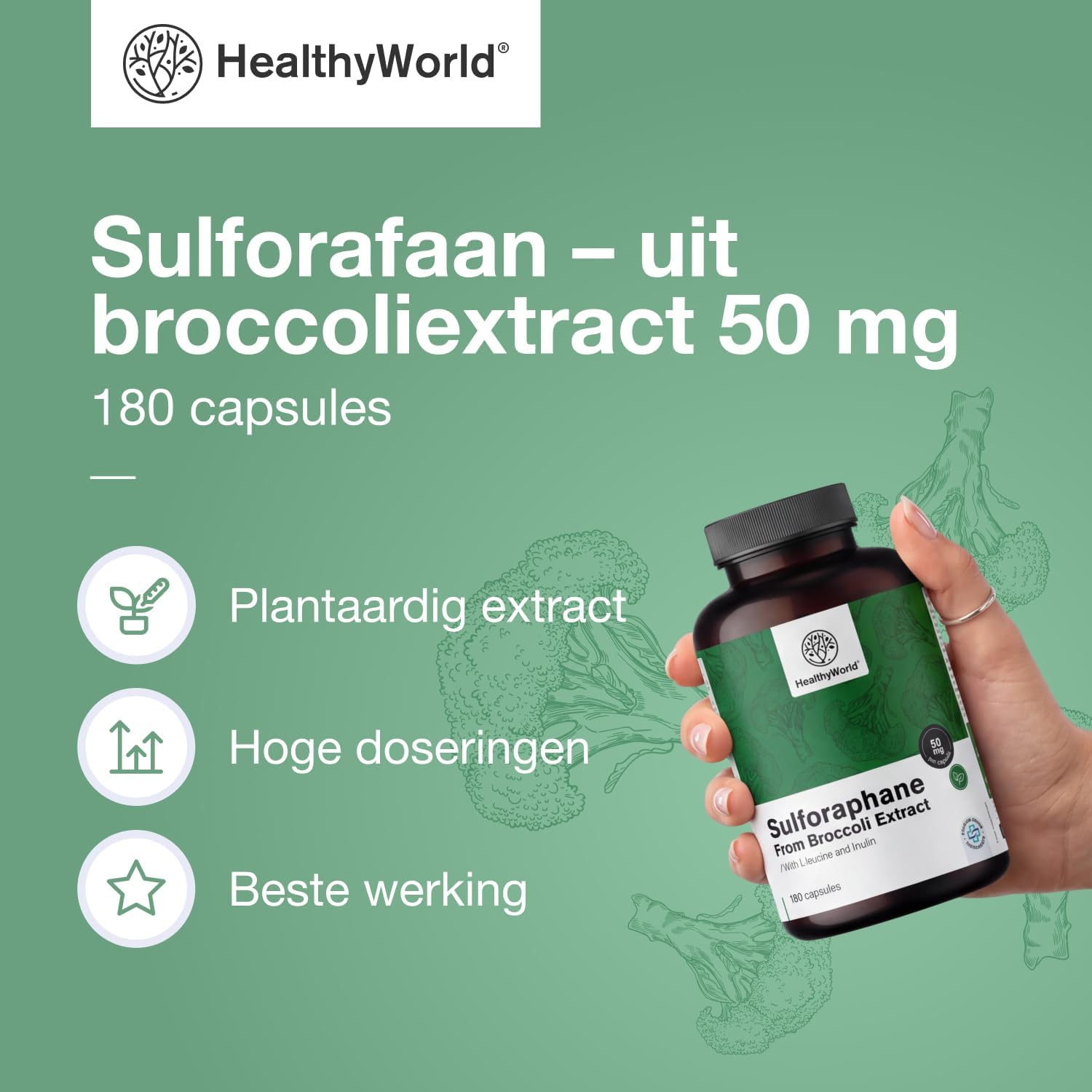 Thumbnail 1 de HealthyWorld Sulforafaan 50 mg capsules, 500 mg broccoliextract, 180 stuks