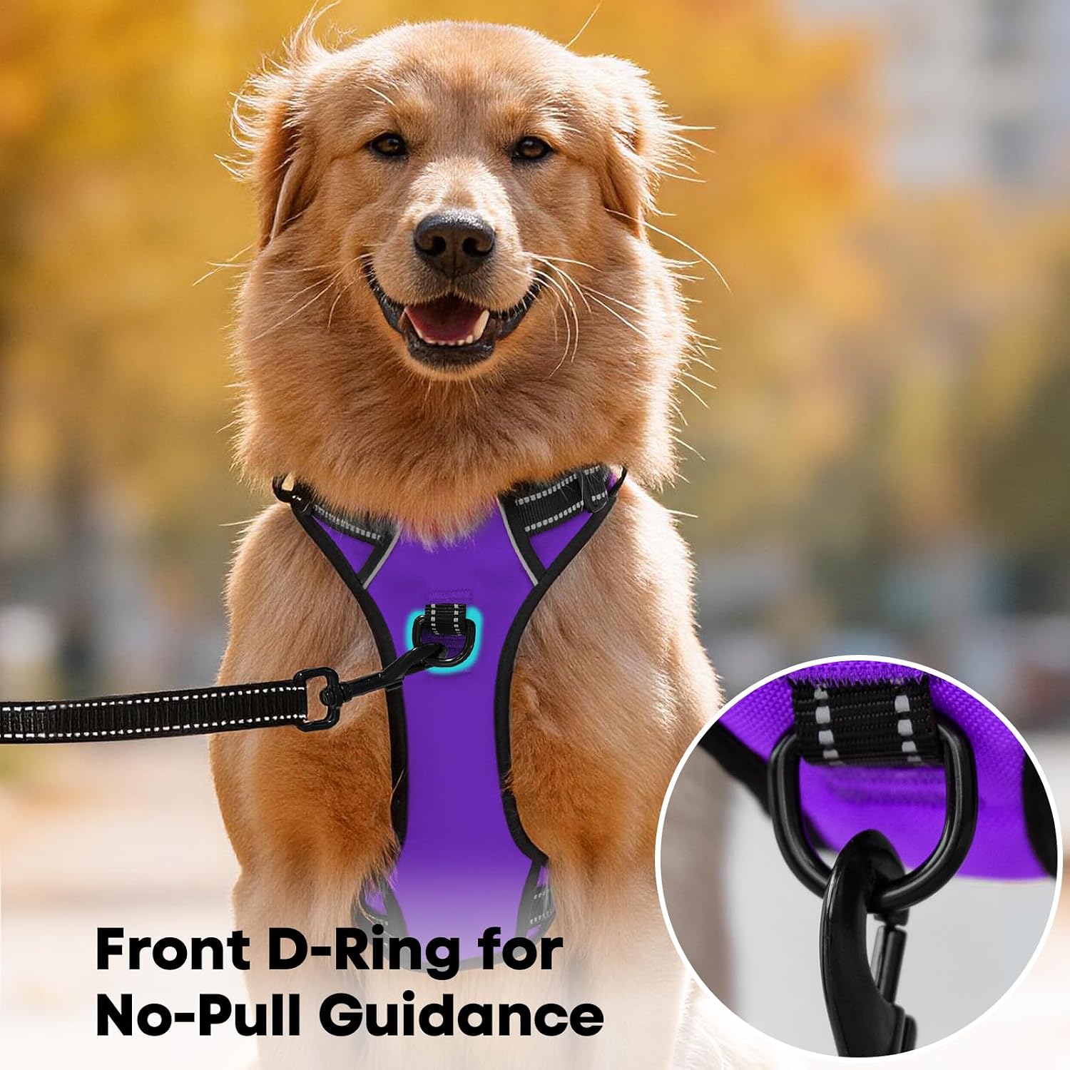 Thumbnail 2 de PoyPet Dog Harness, Large