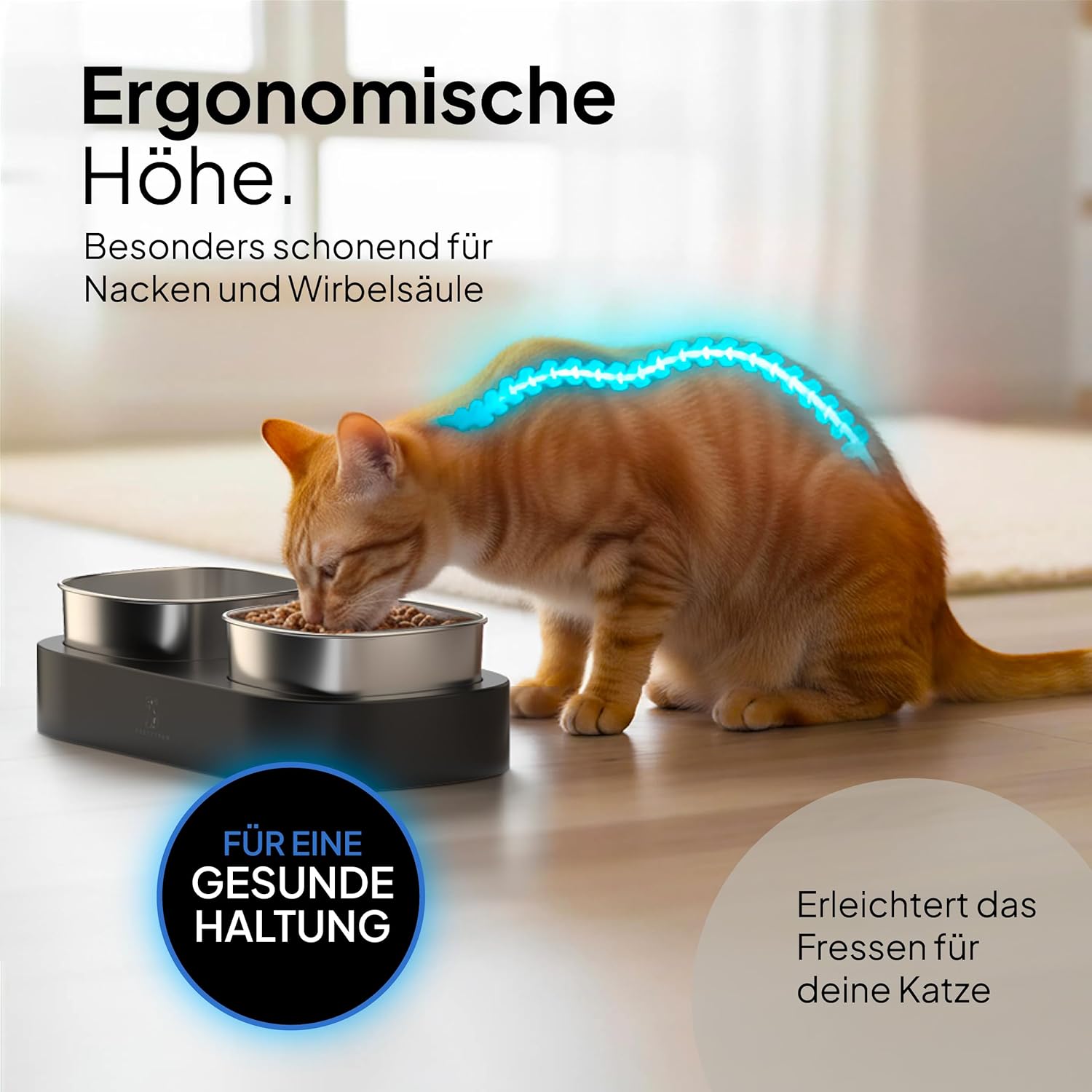 Thumbnail 3 de Pretty Paw erhöhter Doppel-Futternapf mit rutschfester Plattform und Edelstahlschalen (Schwarz)