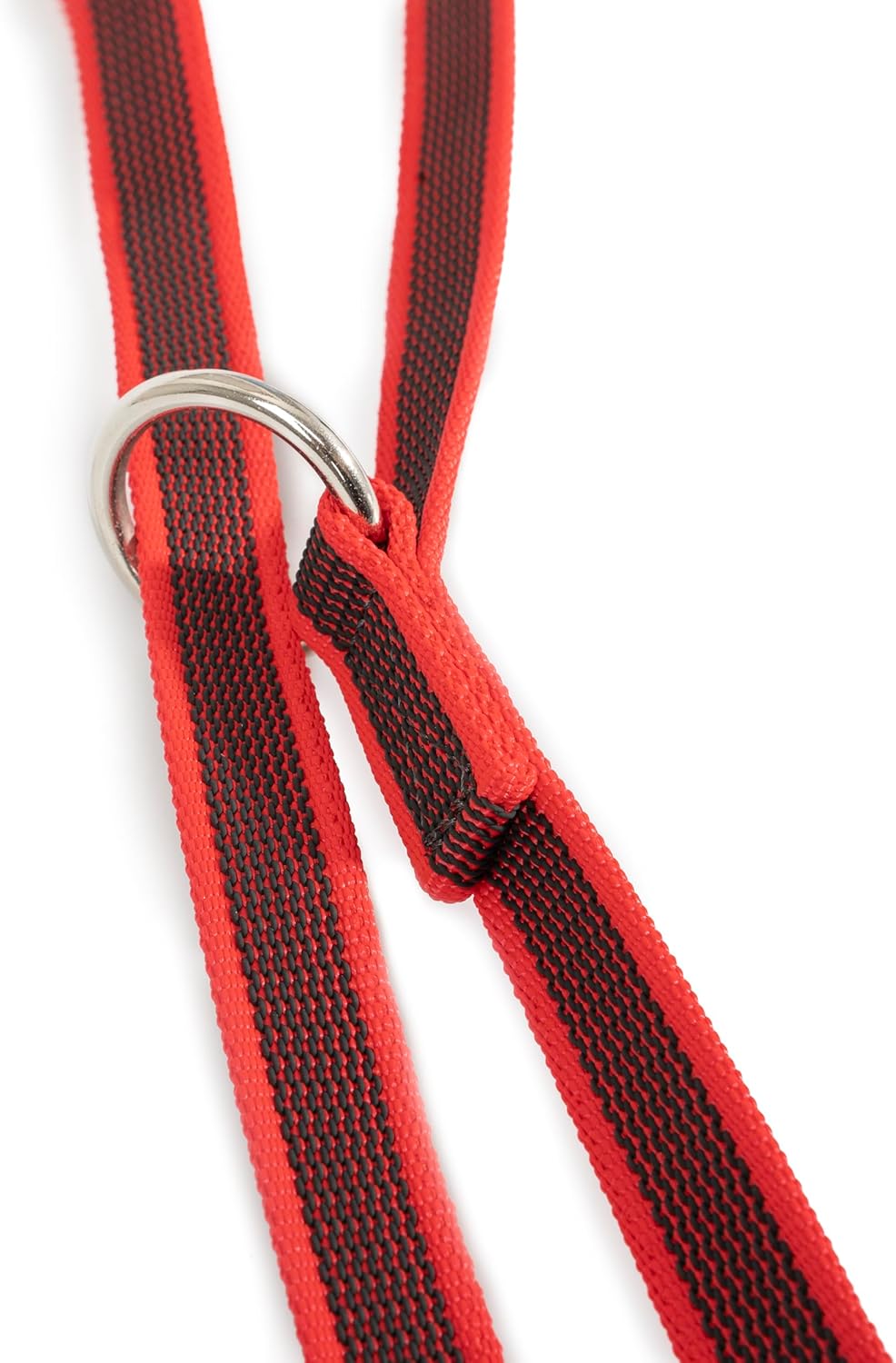 Detalle de Julius-K9 Color & Gray Guinzaglio Regolabile, 20 mm x 2.2 m – Rosso