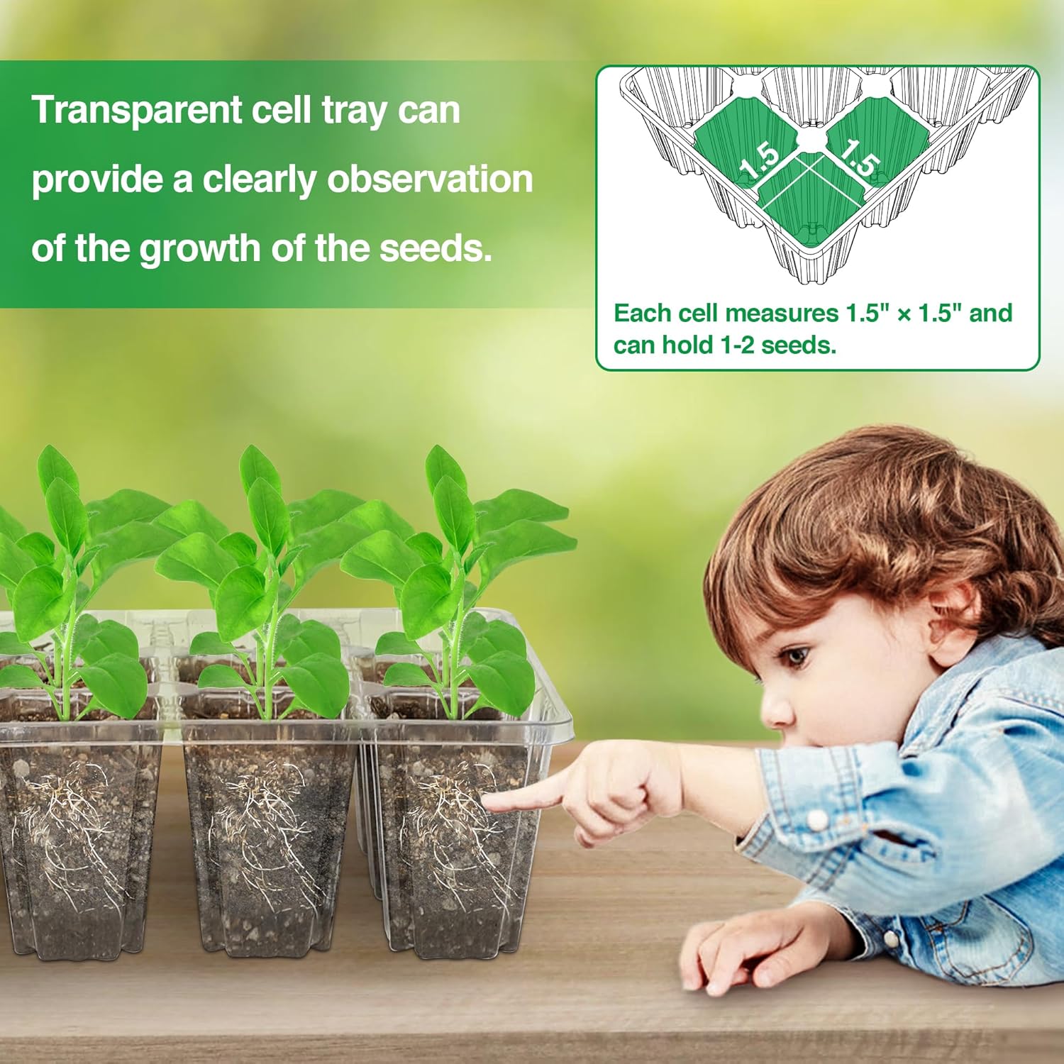 Thumbnail 5 de Bonviee 5 Pack Seed Starter Tray with Grow Light