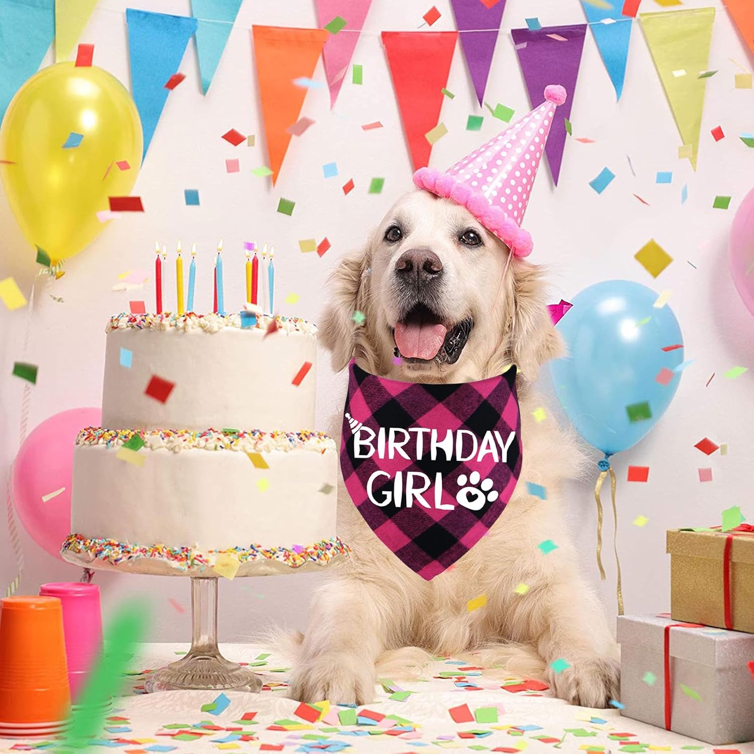 Detalle 1 de STMK Dog Birthday Bandana, X-Large