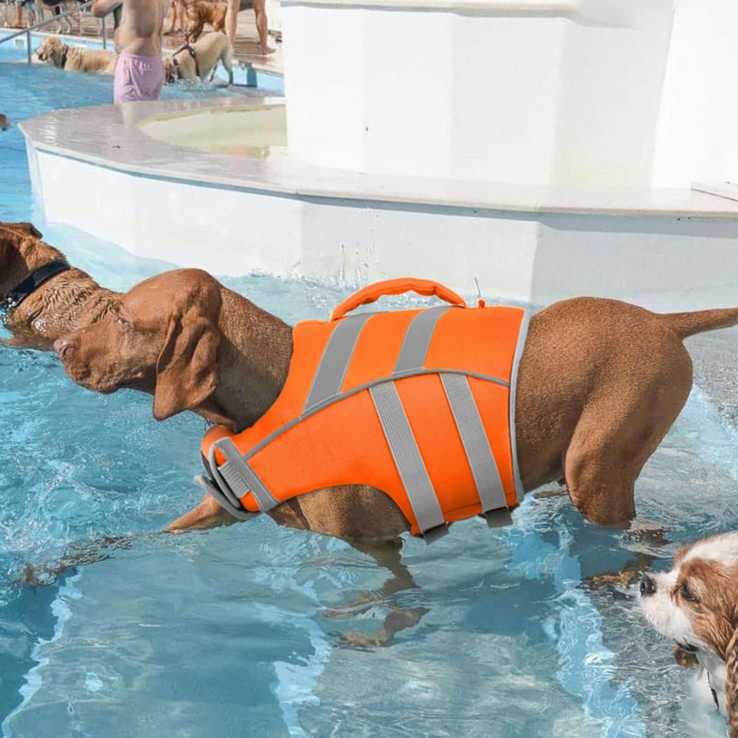 Detalle 2 de Kuoser Hundeschwimmweste – Hoch sichtbare Rettungsweste mit Auftrieb in 6 Größen (XS–XXL) für kleine bis große Hunde