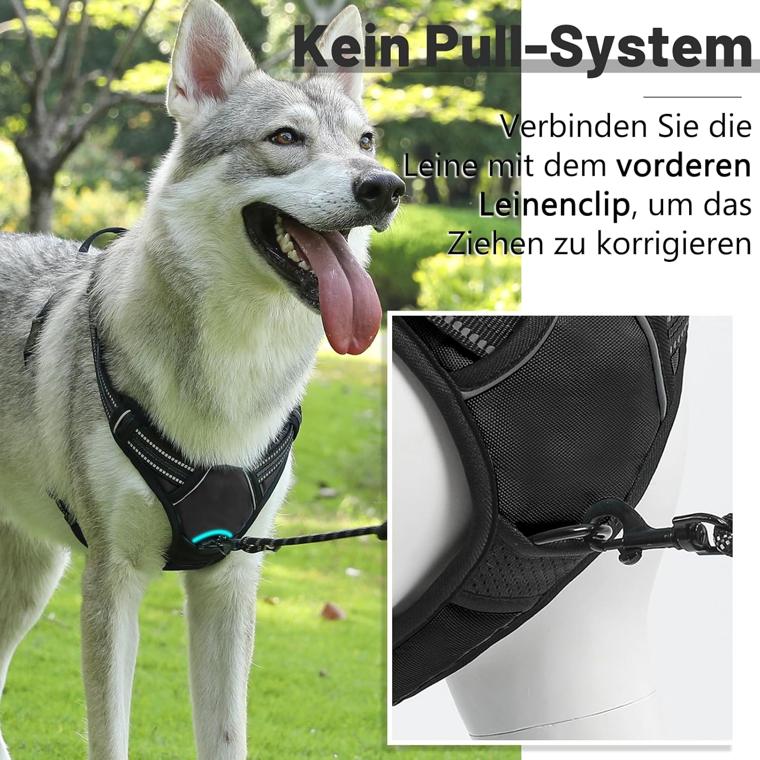 Detalle 2 de Demigreat Hundegeschirr Mittelgroße bis Große Hunde – Gepolstert, Anti-Zug, Front-Clip & Rückengriff