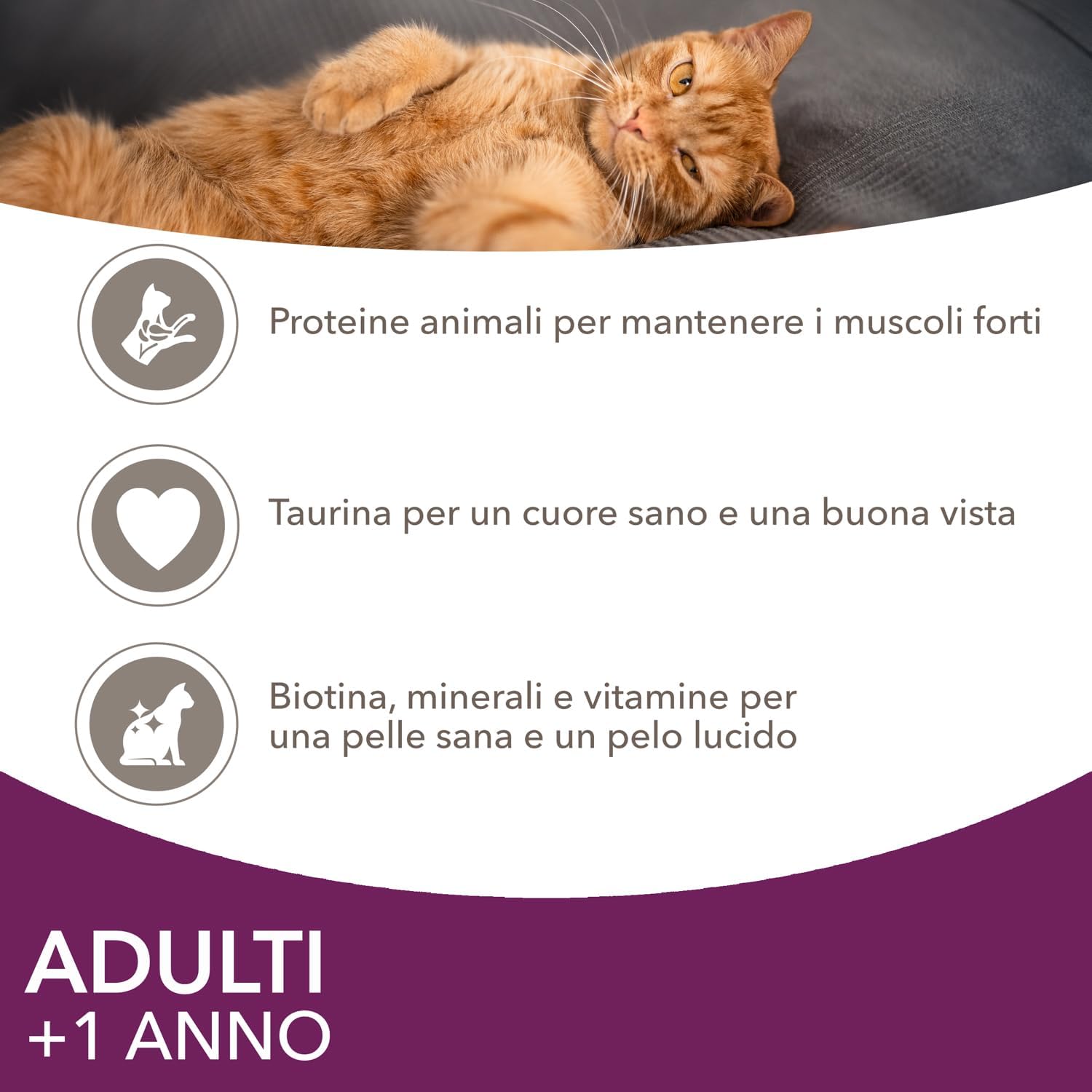 Thumbnail 4 de IAMS Delights Land & Sea Collection: alimento umido in gelatina per gatti adulti – 72 x 85 g